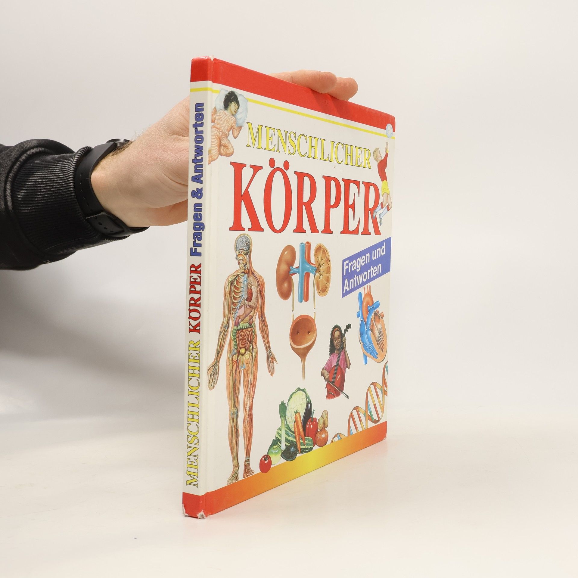 Menschlicher Körper in Fragen und Antworten