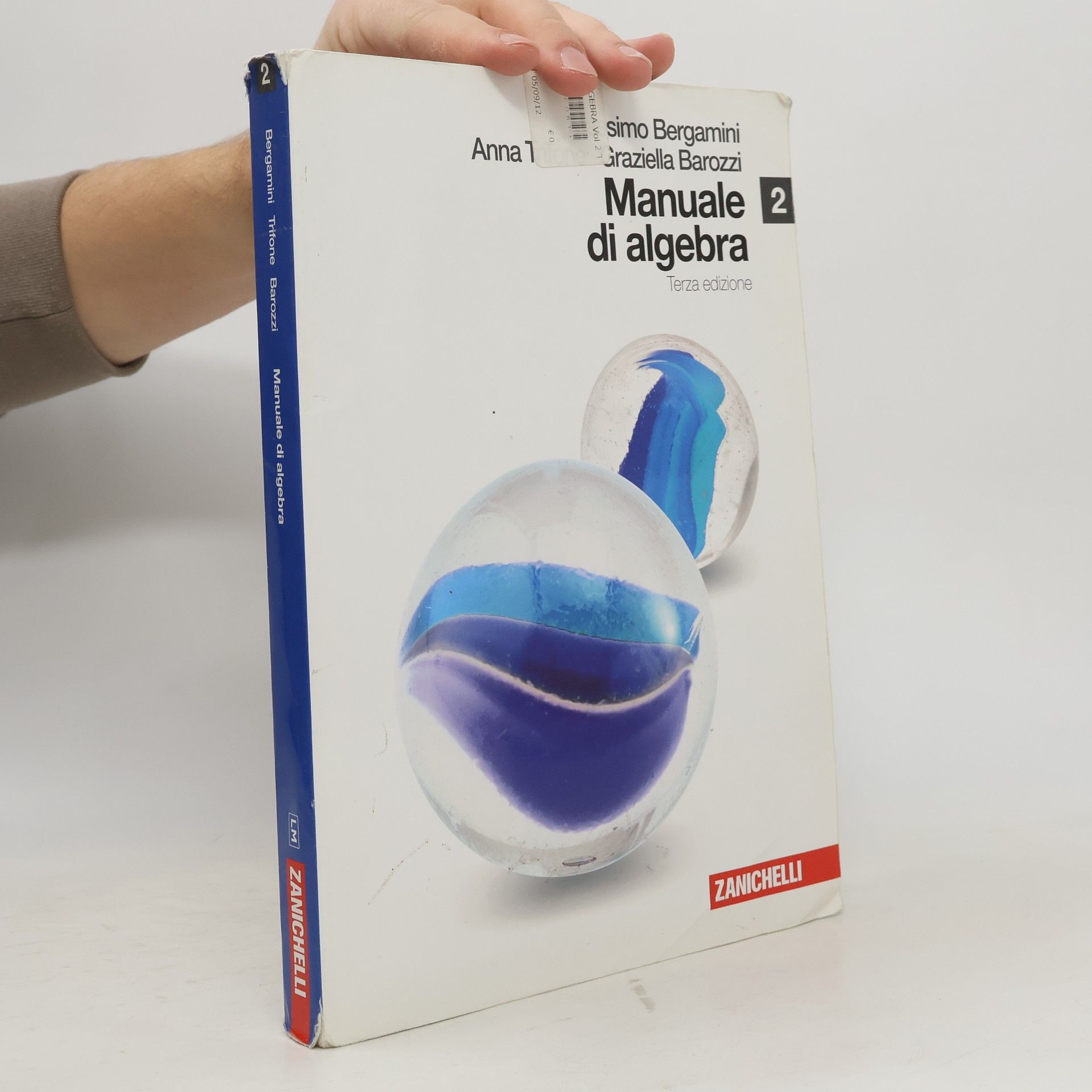 Massimo Bergamini Manuale di algebra. Con espansione online. Per le scuole superiori