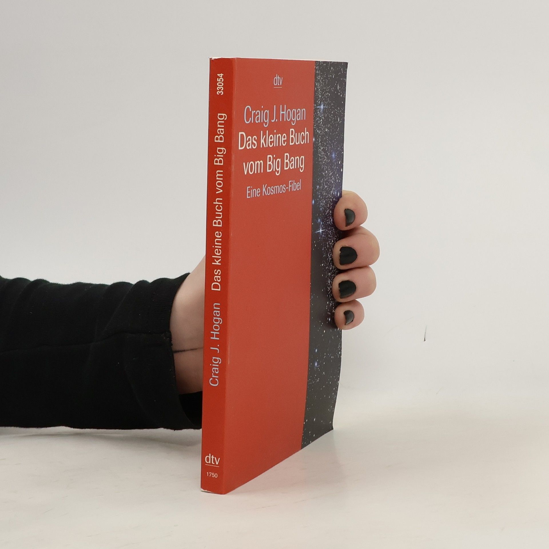 Craig J. Hogan Das kleine Buch vom Big Bang