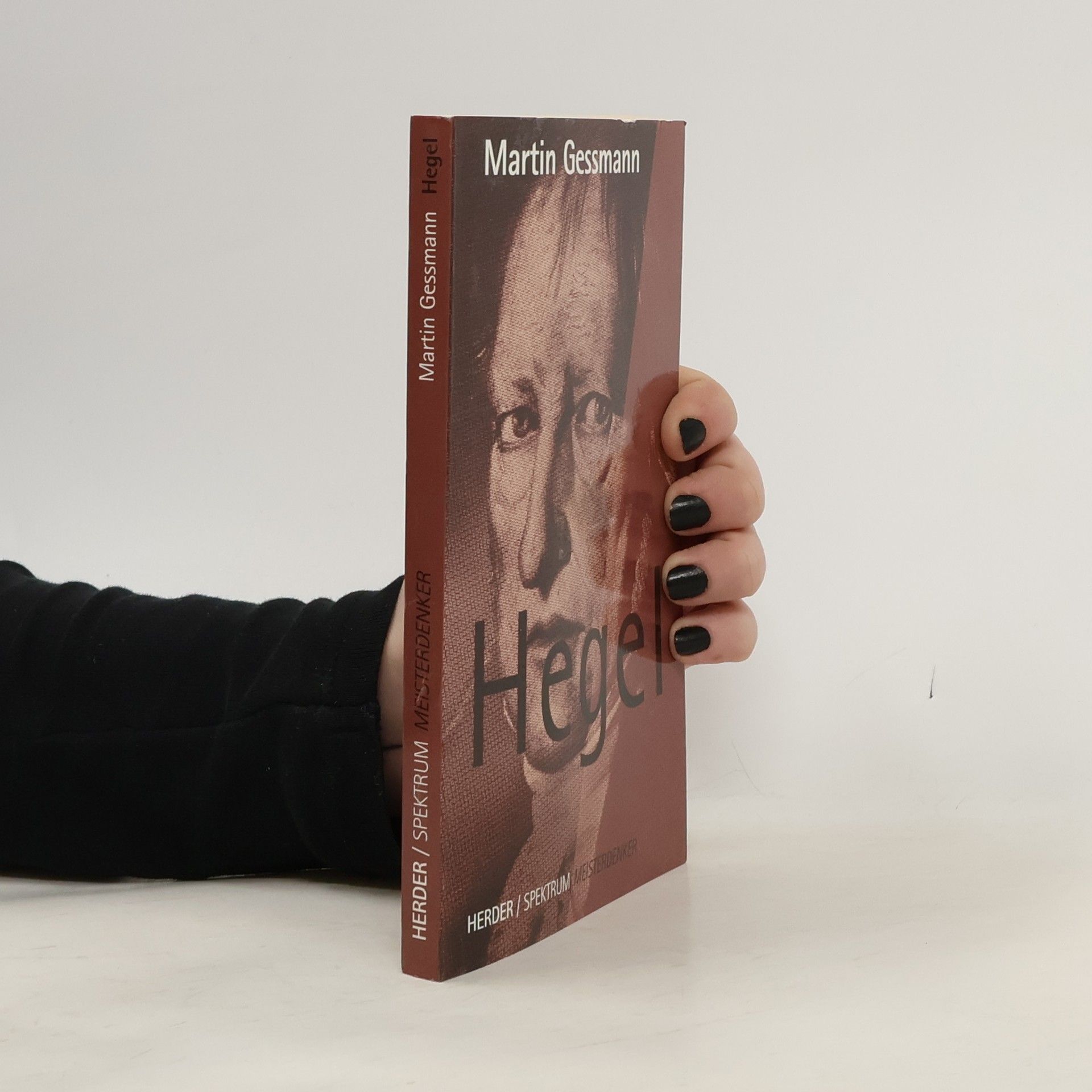 Martin Gessmann Hegel