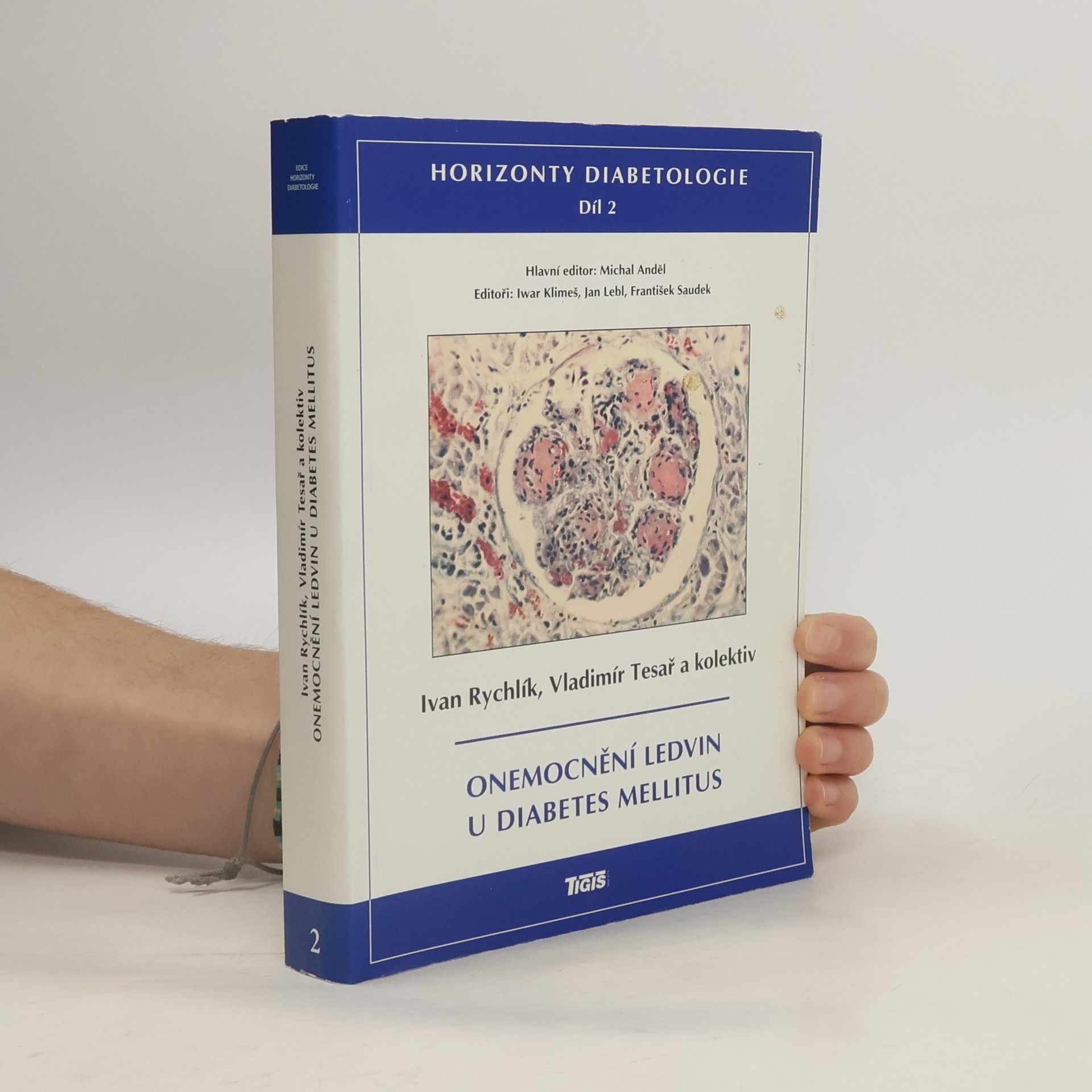 Ivan Rychlík Onemocnění ledvin u diabetes mellitus. Horizonty diabetologie. 2. díl