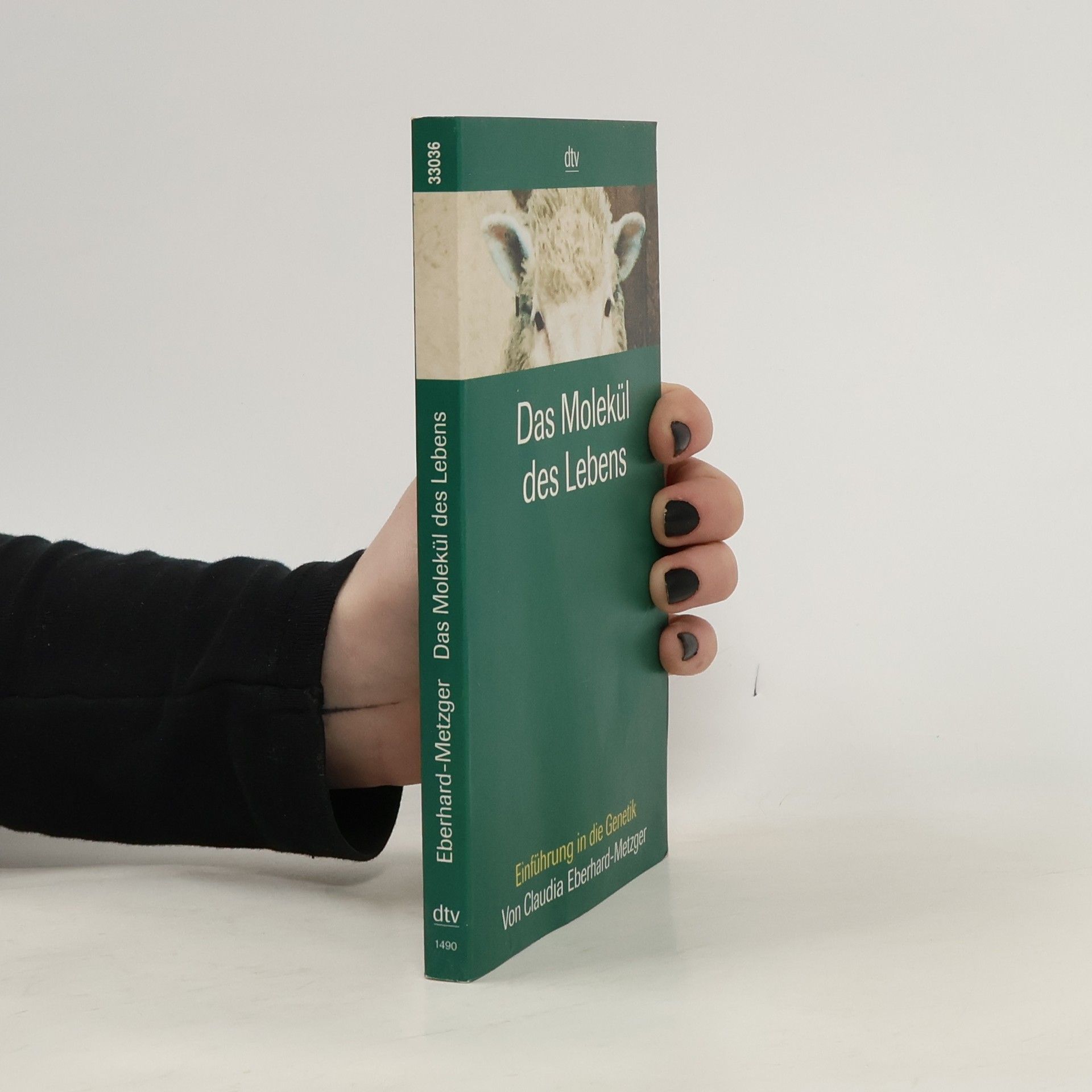 Claudia Eberhard Metzger Das Molekül des Lebens