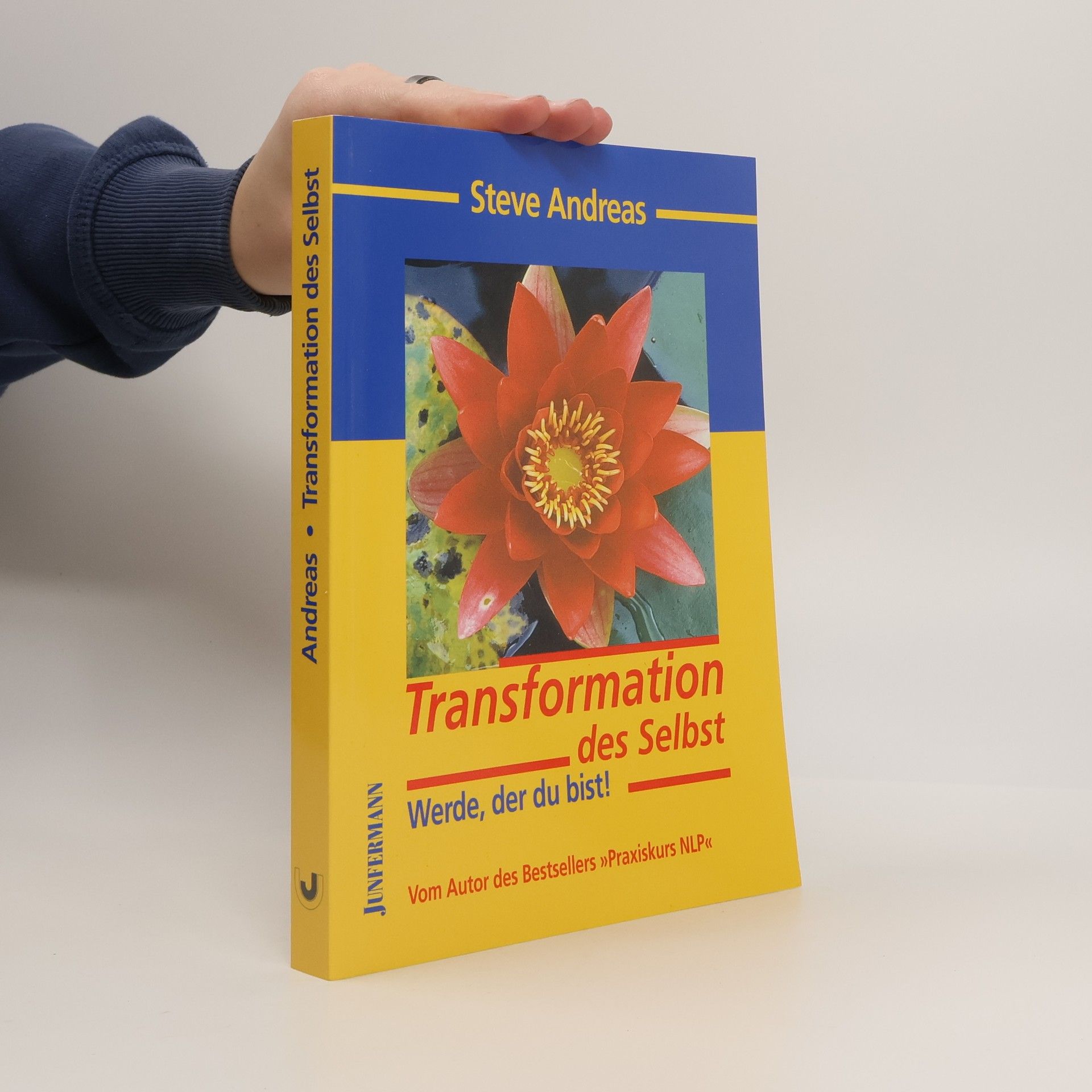 Steve Andreas Transformation des Selbst