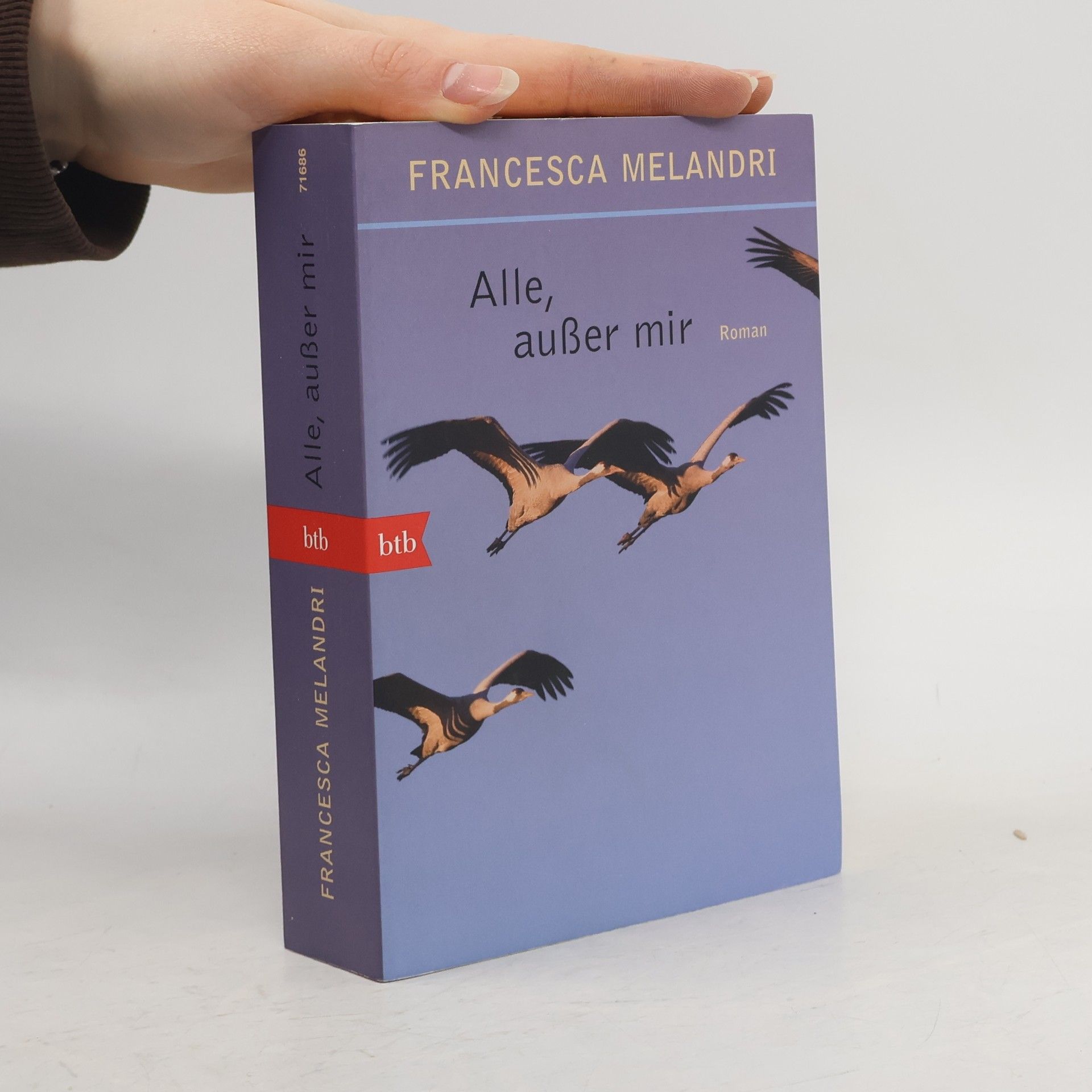 Francesca Melandri Alle, außer mir