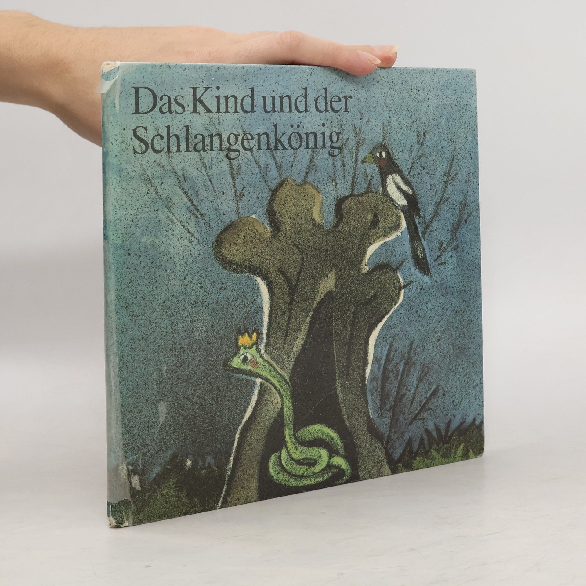 Kolektiv autorů Das Kind und der Schlangenkönig