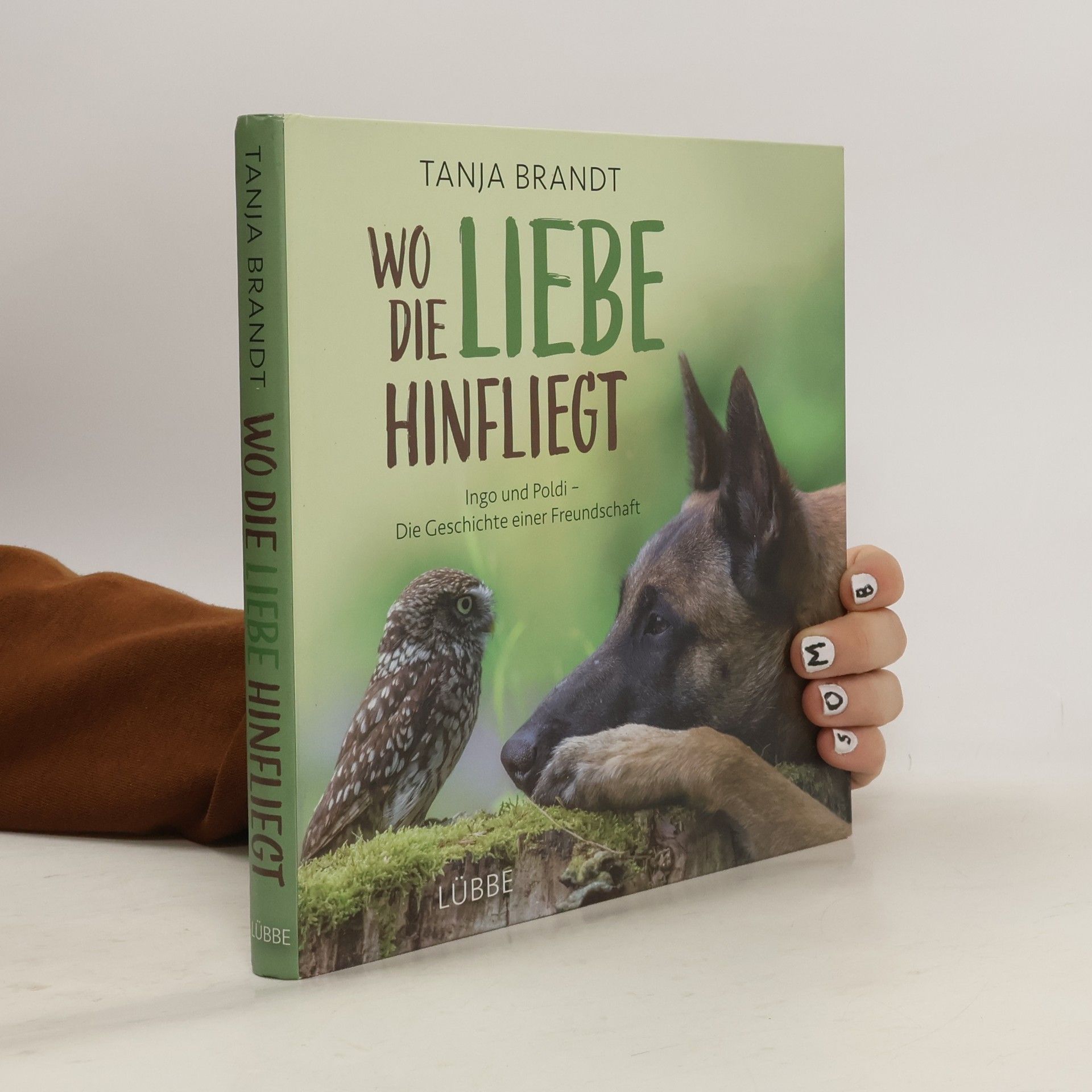 Tanja Brandt Wo die Liebe hinfliegt
