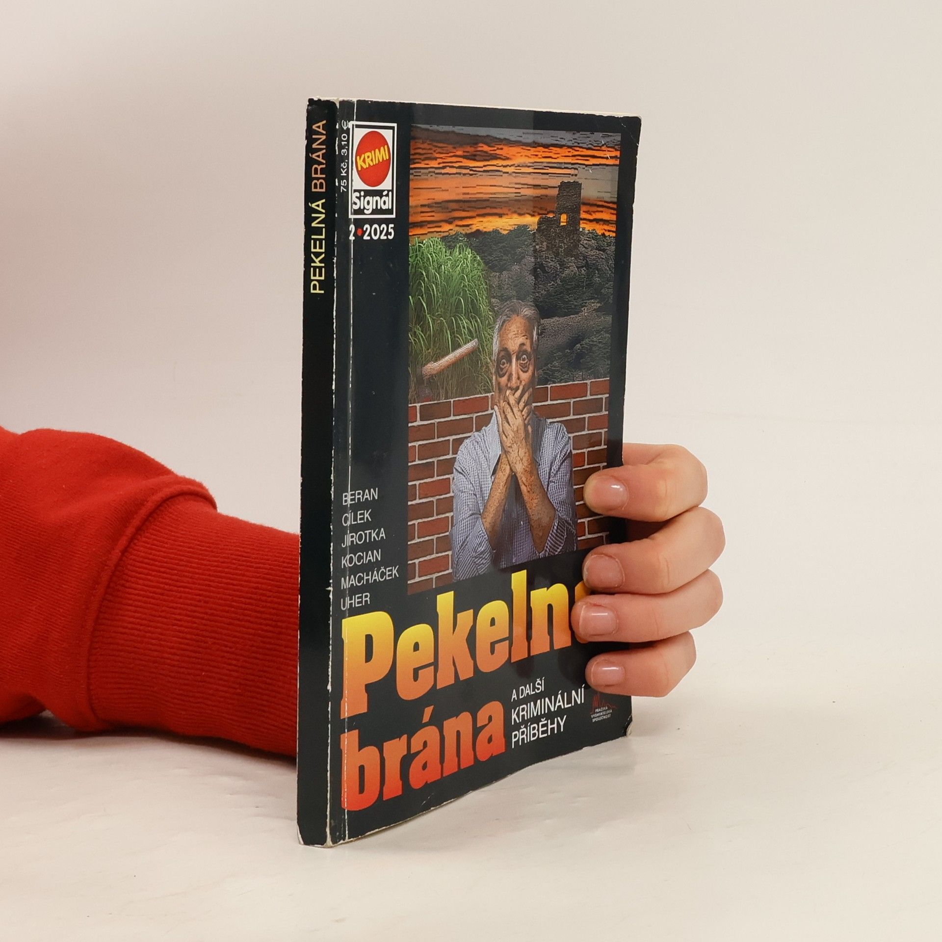 Kolektív autorov Pekelná brána a další kriminální příběhy