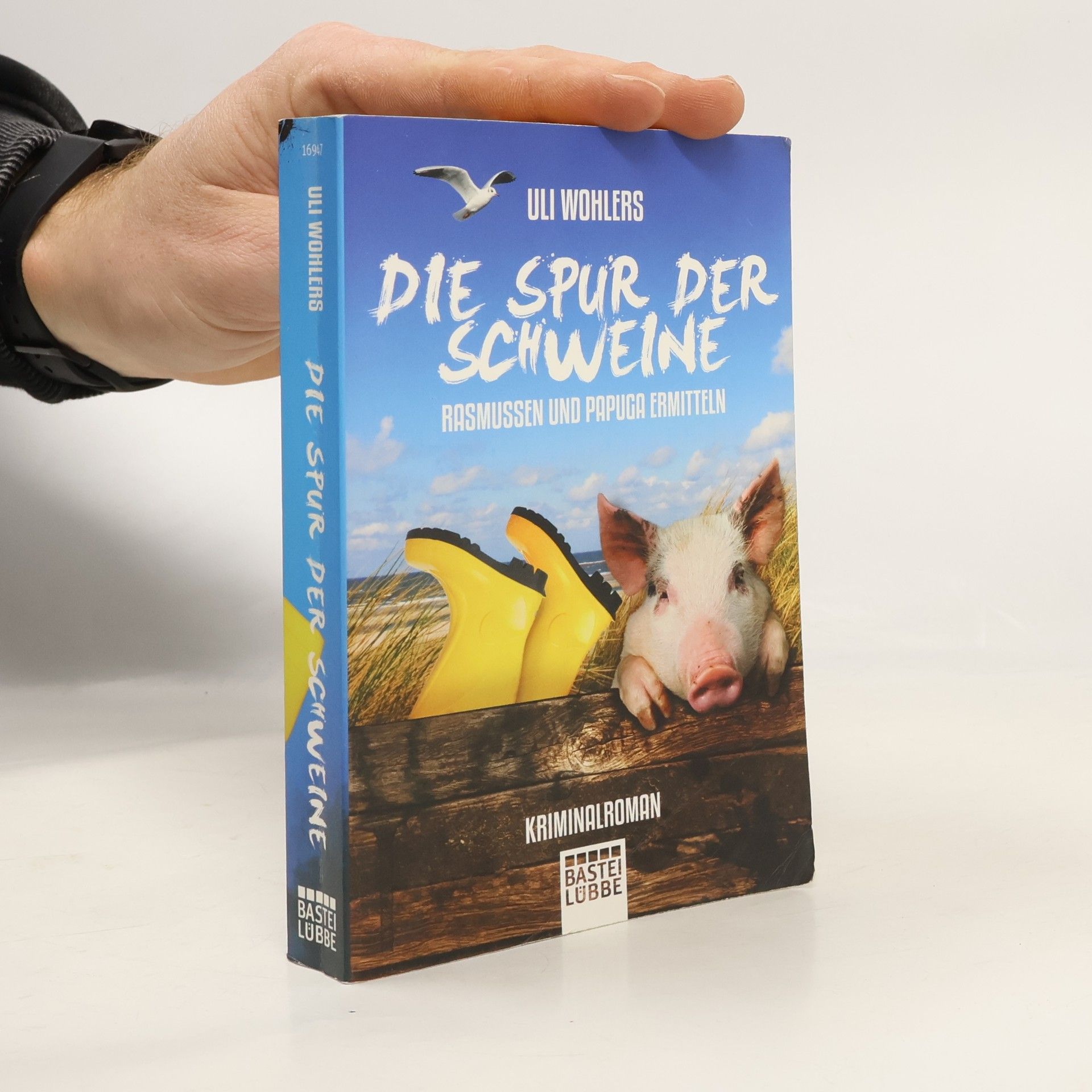 Di Morrissey Die Korallentaucherin