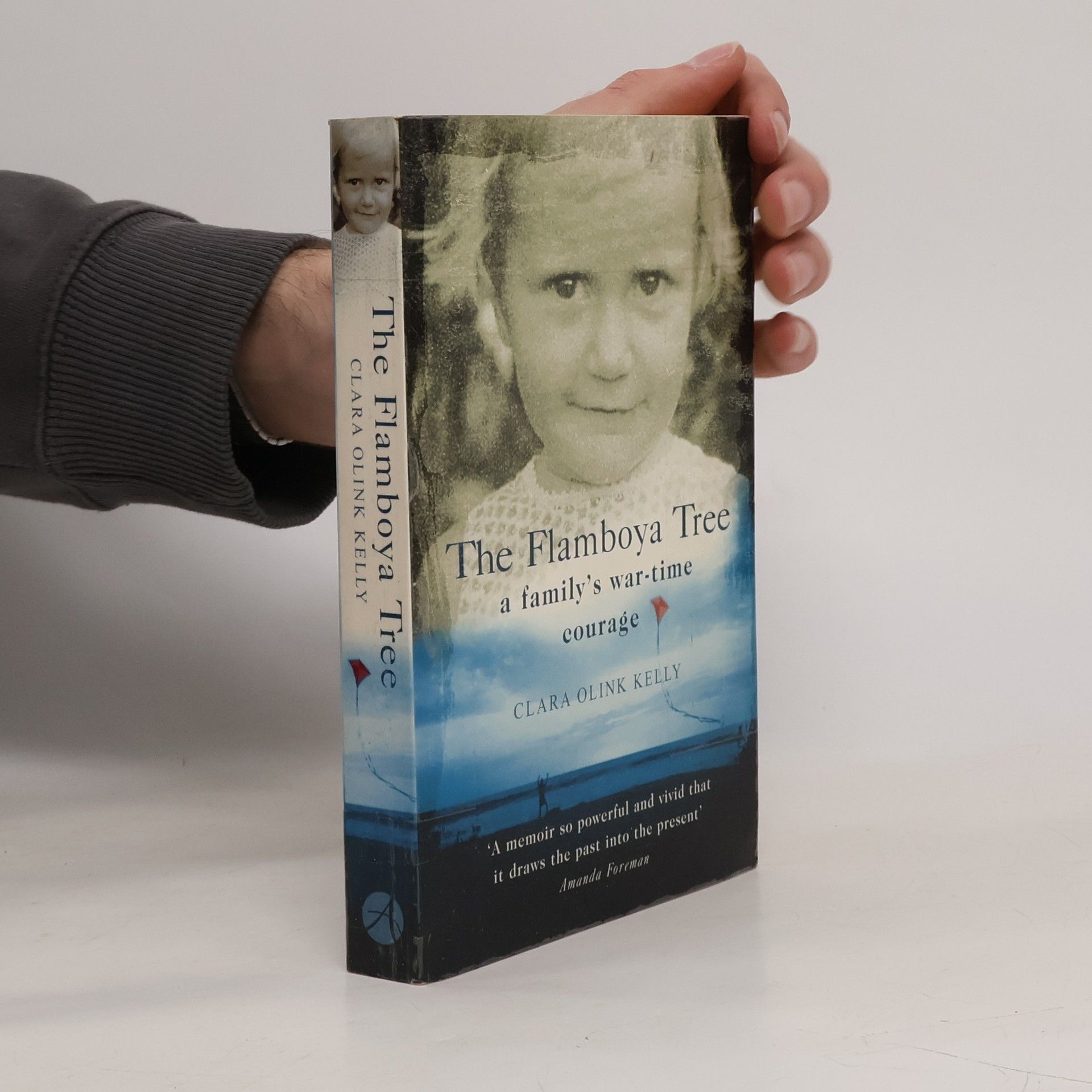 Clara Olink Kelly The Flamboya Tree
