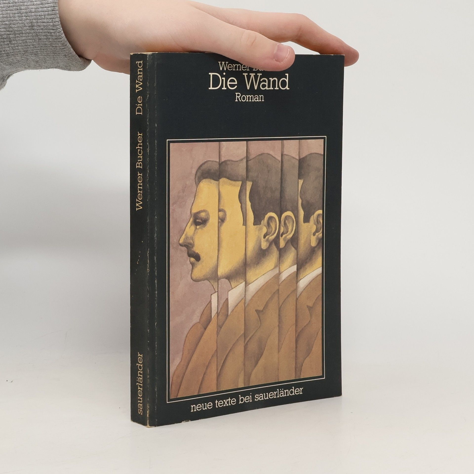 Neue Texte bei Sauerländer: Die Wand