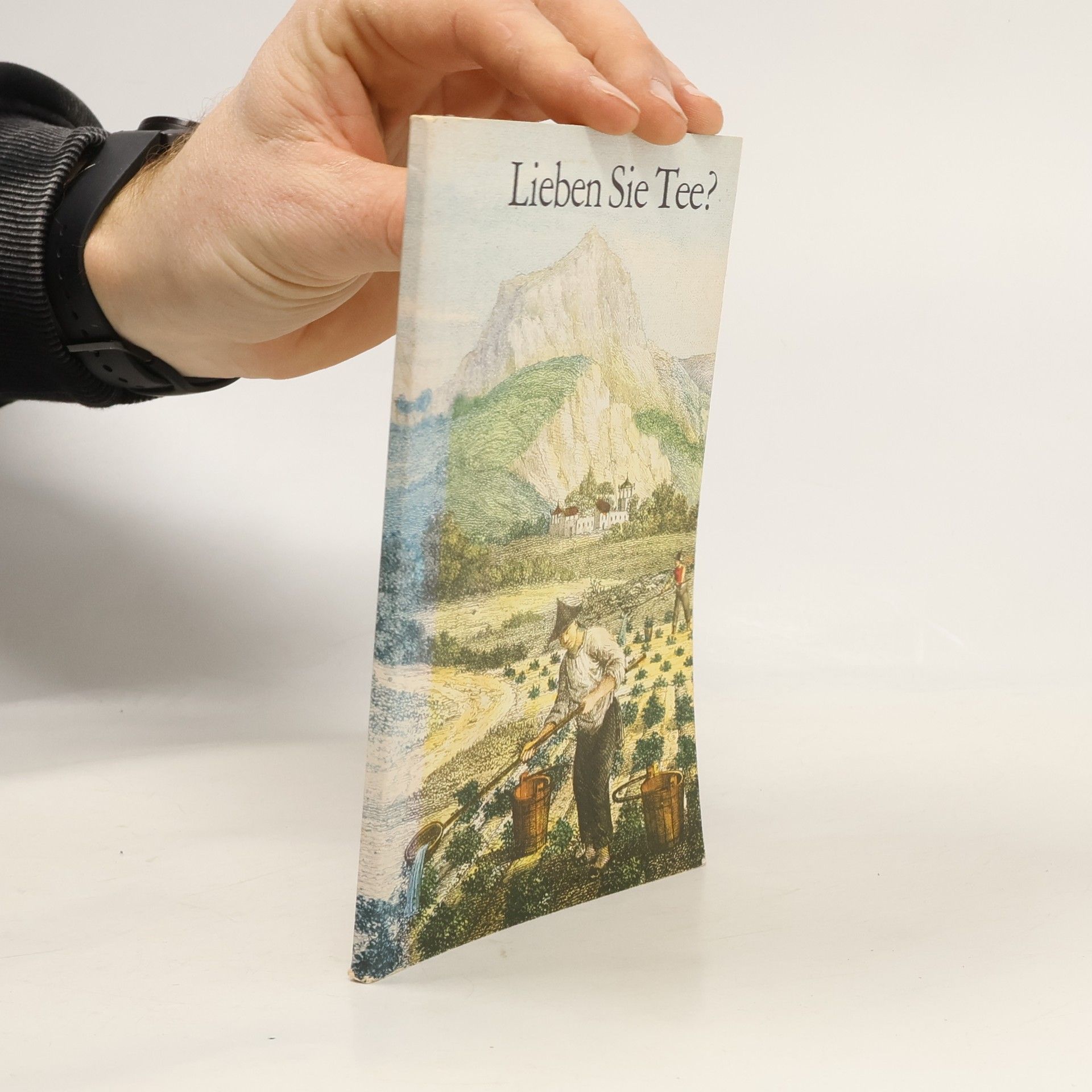 Autorenkollektiv Lieben Sie Tee?