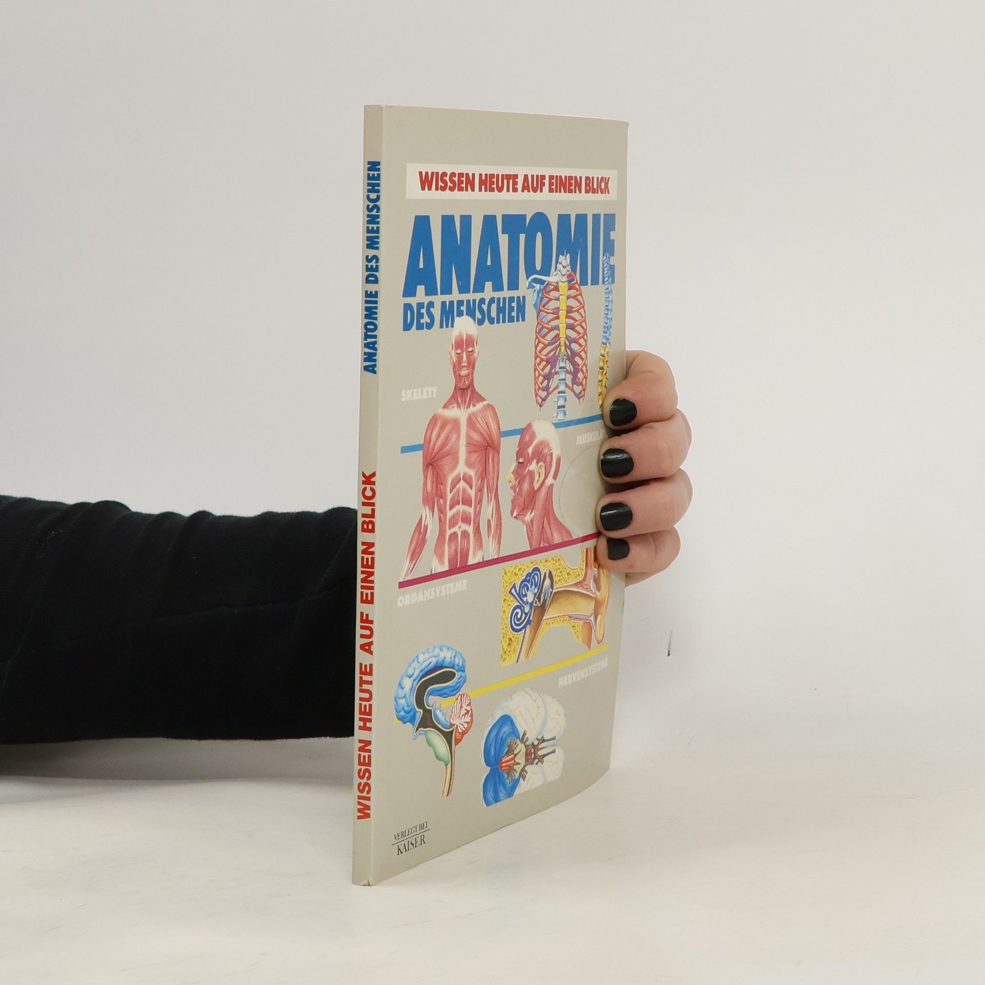 Kolektiv autorů Anatomie des menschen