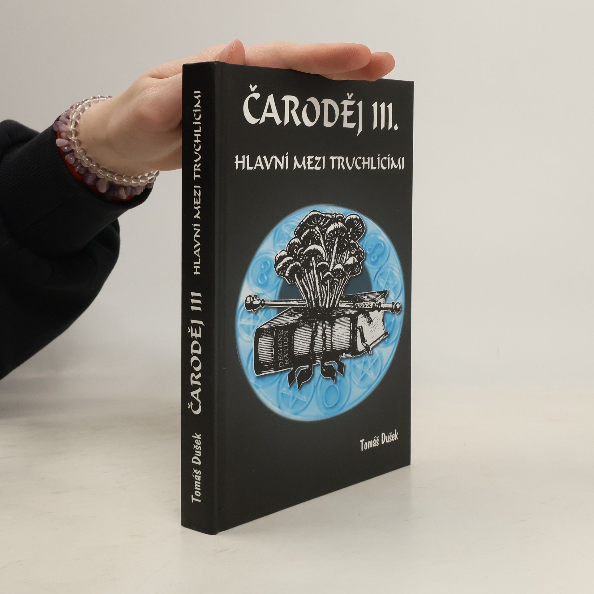 Hlavní mezi truchlícími