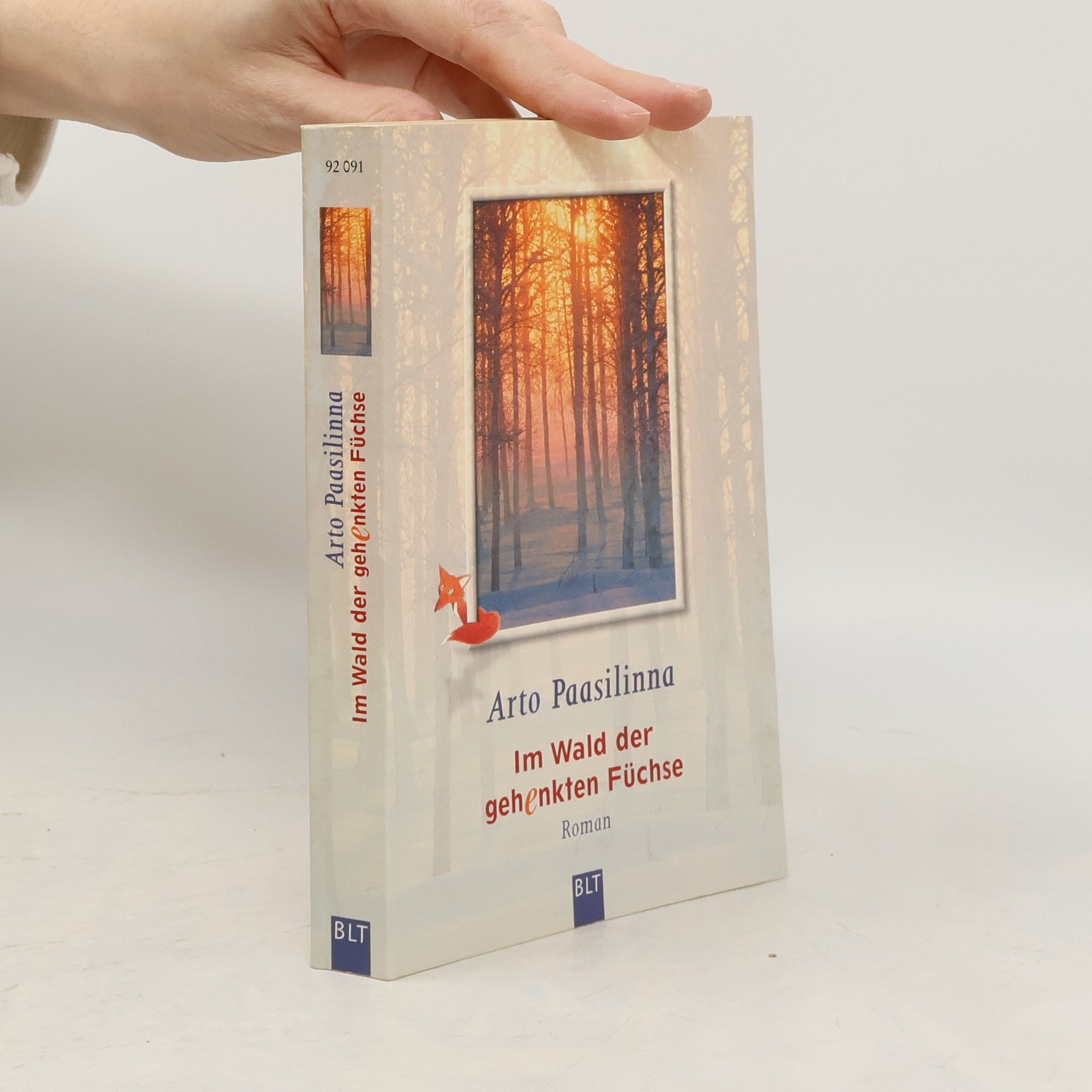 Arto Paasilinna Im Wald der gehenkten Füchse