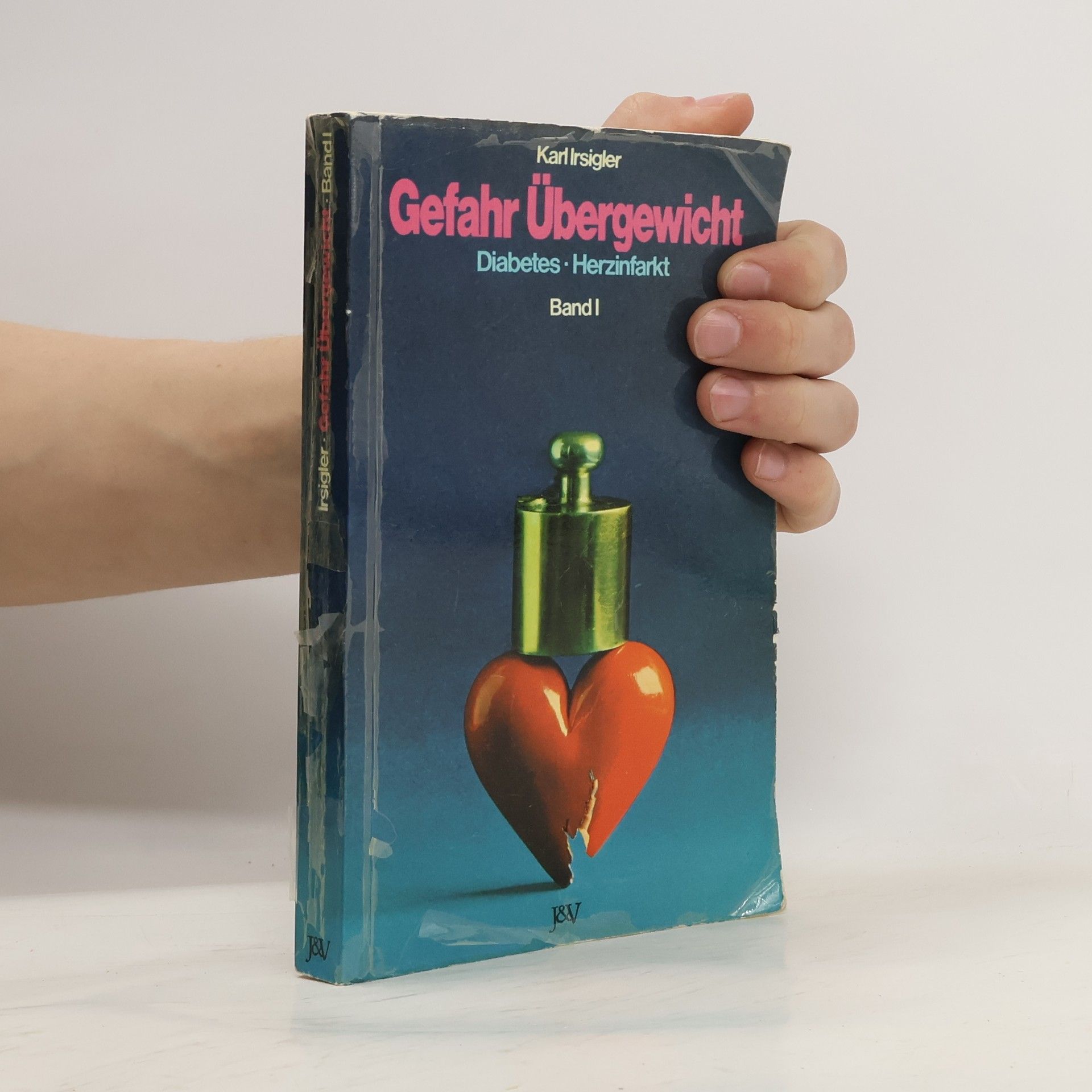 Karl A. Irsigler Gefahr Übergewicht Band 1