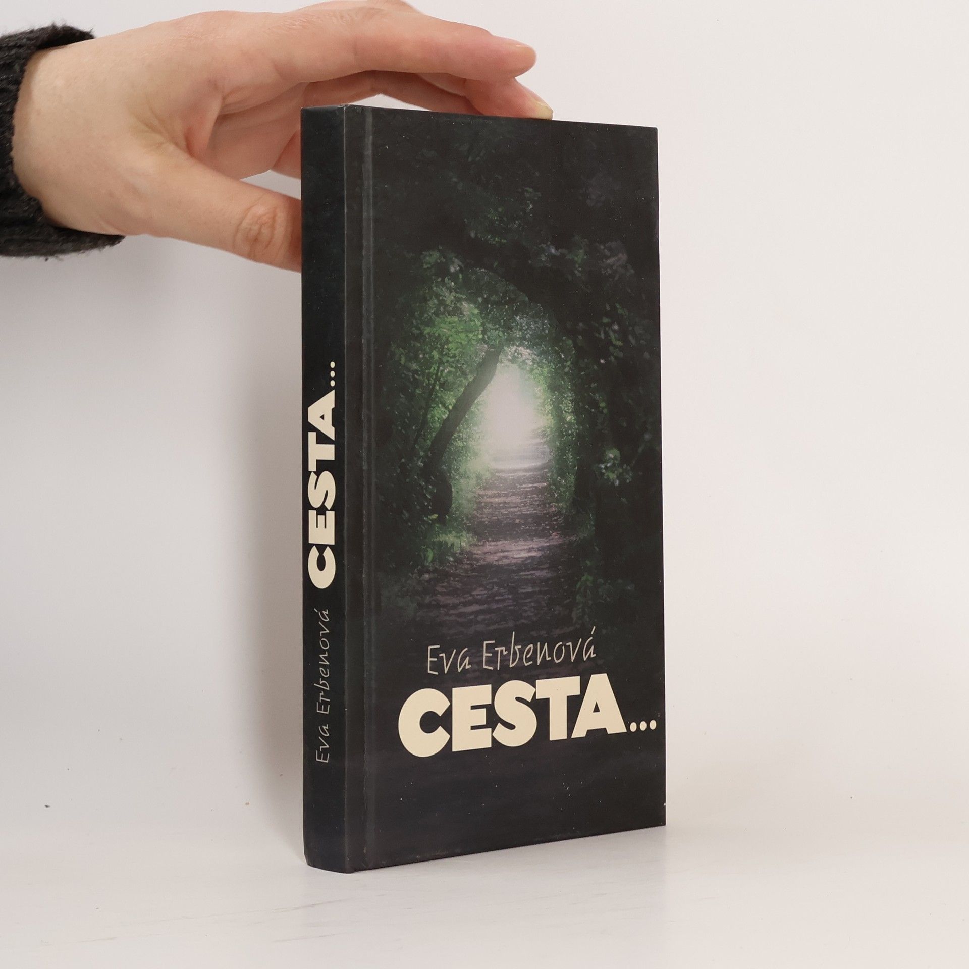 Cesta...
