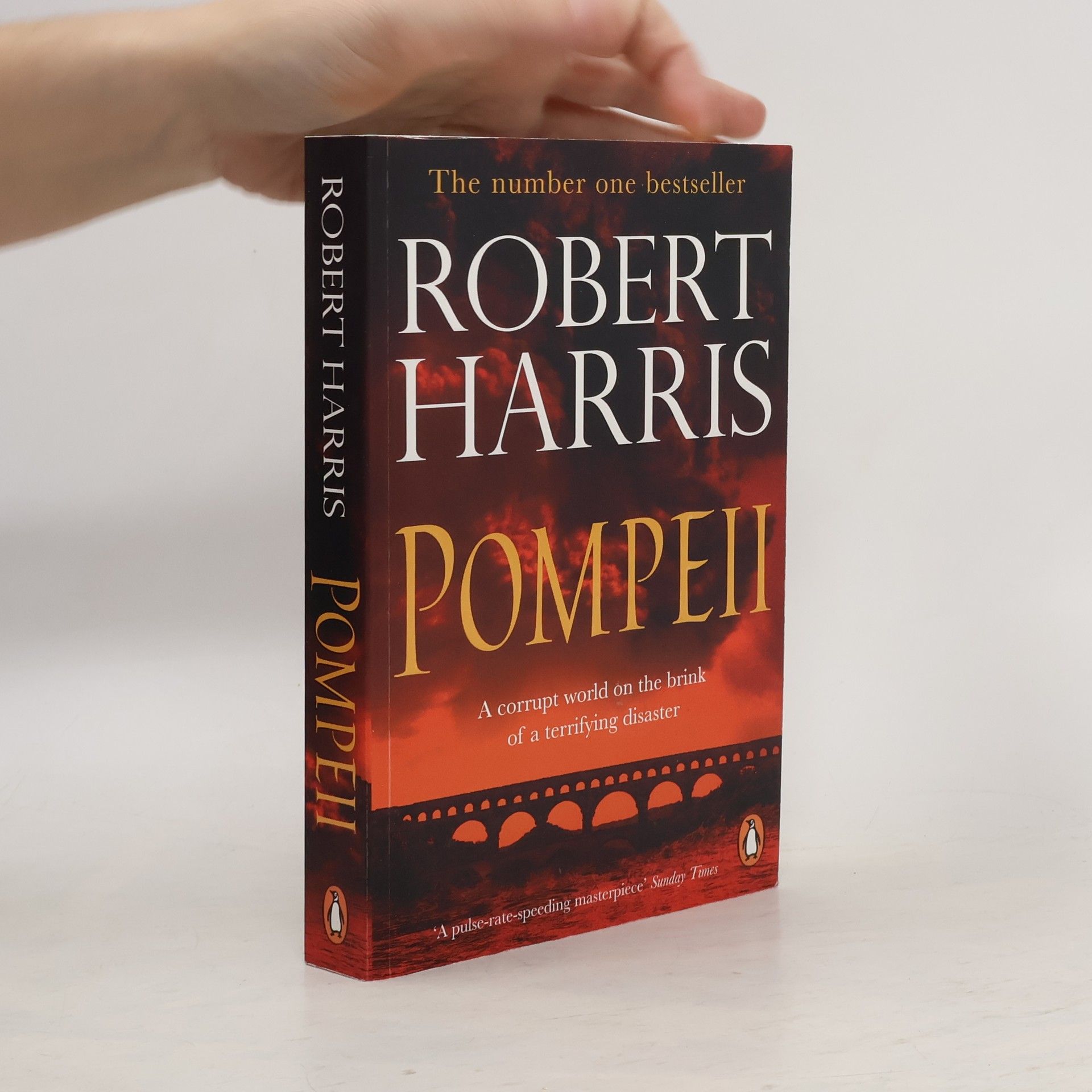Robert Harris Pompeii