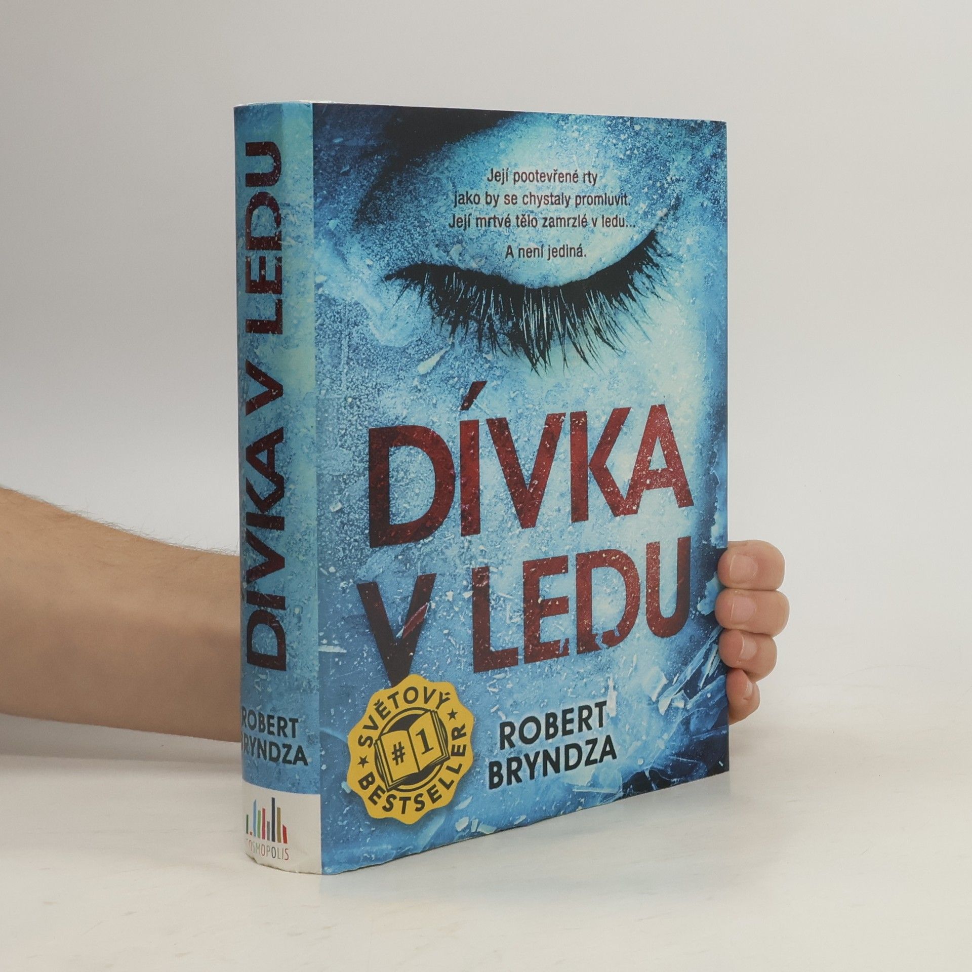 Robert Bryndza Dívka v ledu