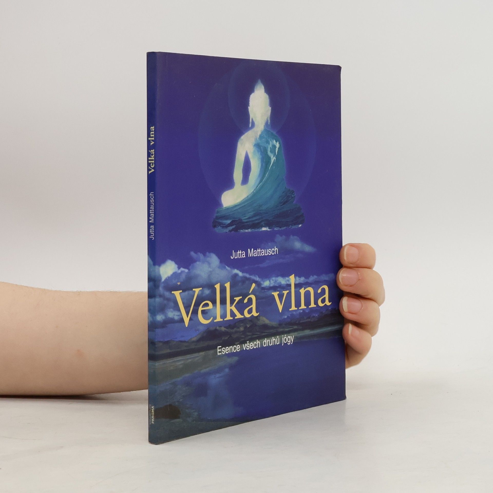 Jutta Mattausch Velká vlna. Esence všech druhů jógy