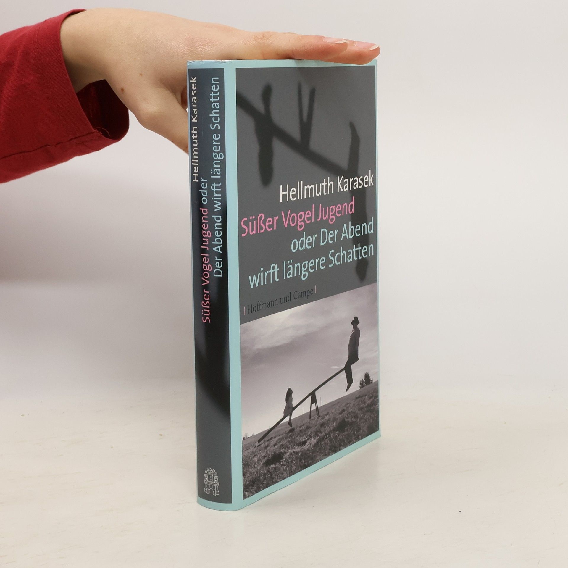 Hellmuth Karasek Süßer Vogel Jugend oder Der Abend wirft längere Schatten