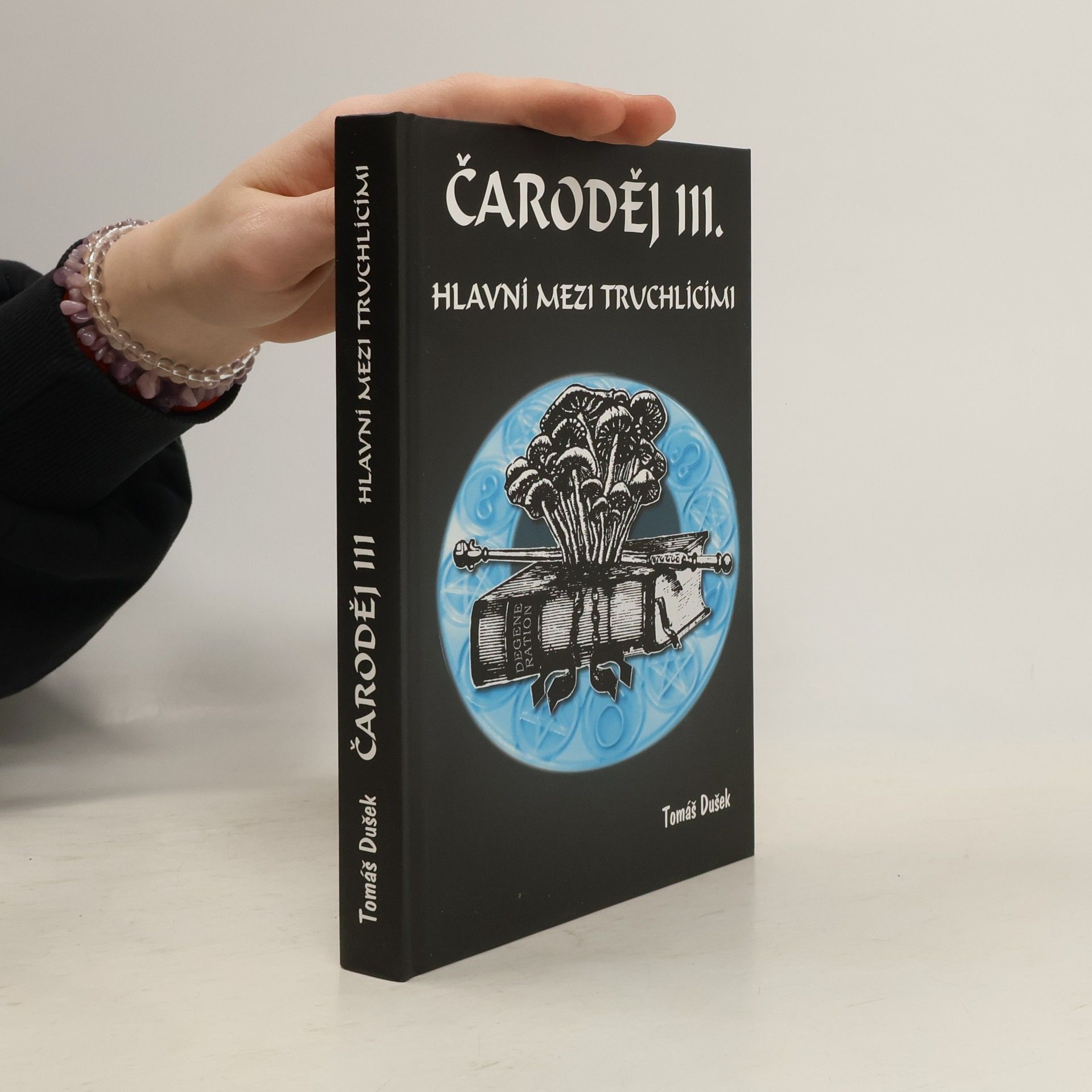 Tomáš Dušek Hlavní mezi truchlícími