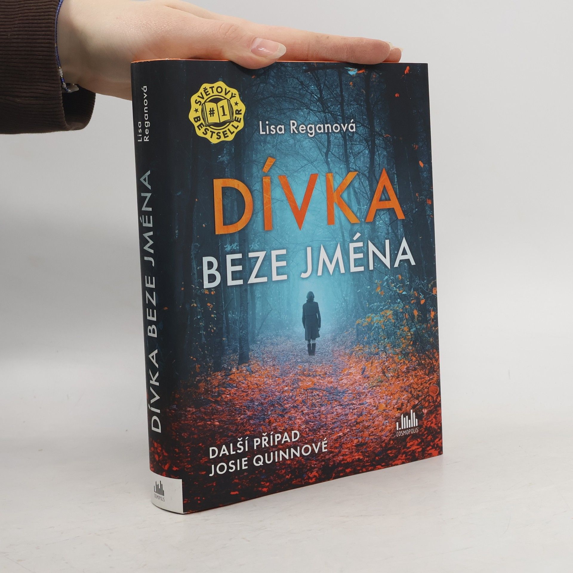 Lisa Regan Dívka beze jména: Další případ Josie Quinnové