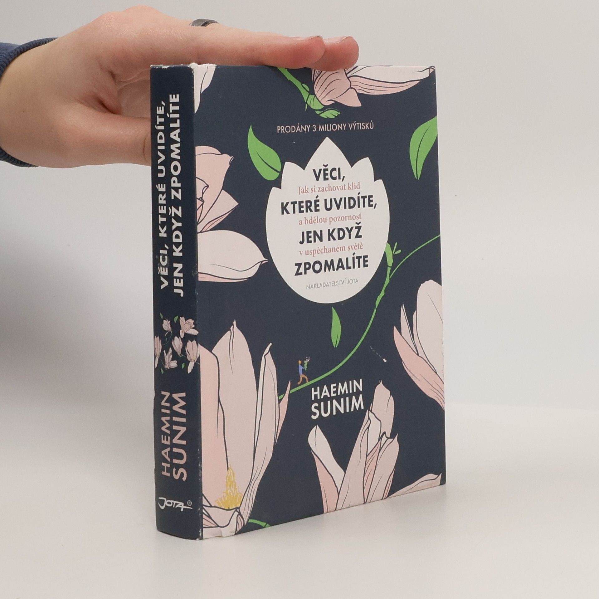 Sunim Haemin Věci, které uvidíte, jen když zpomalíte