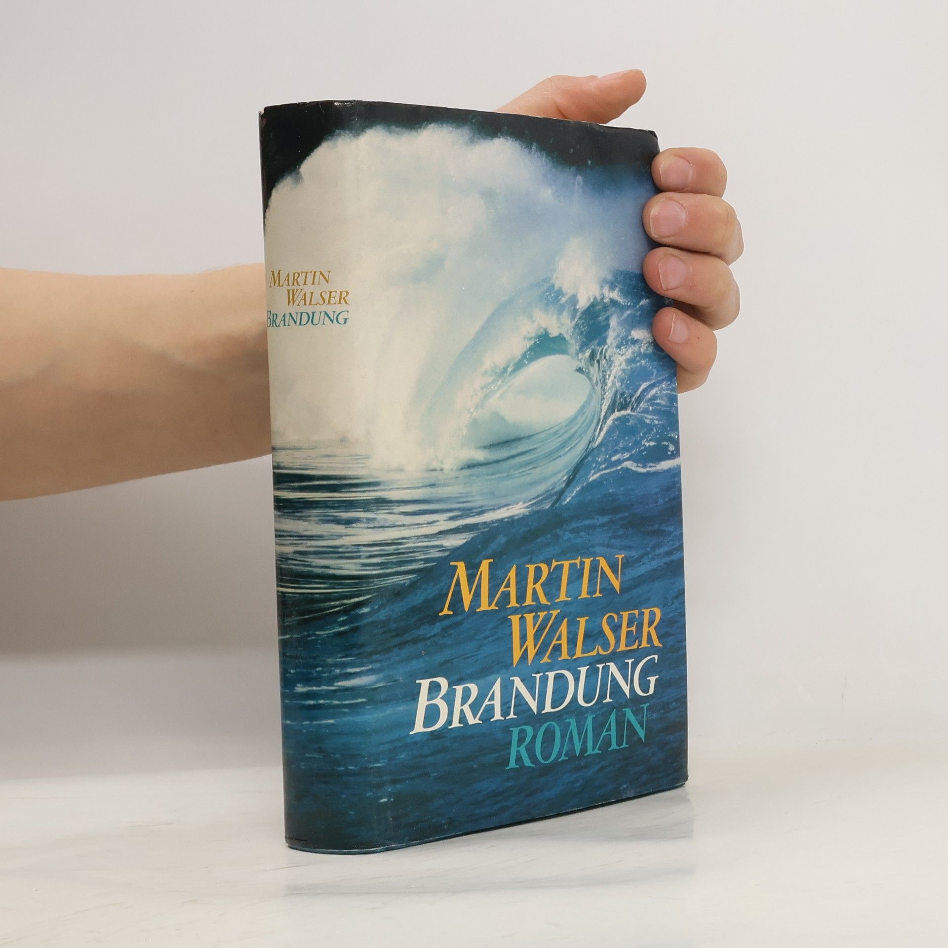 Martin Walser Brandung