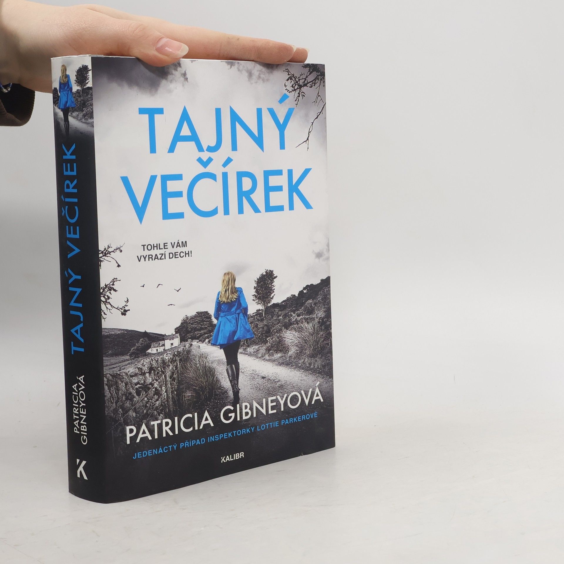Patricia Gibney Tajný večírek