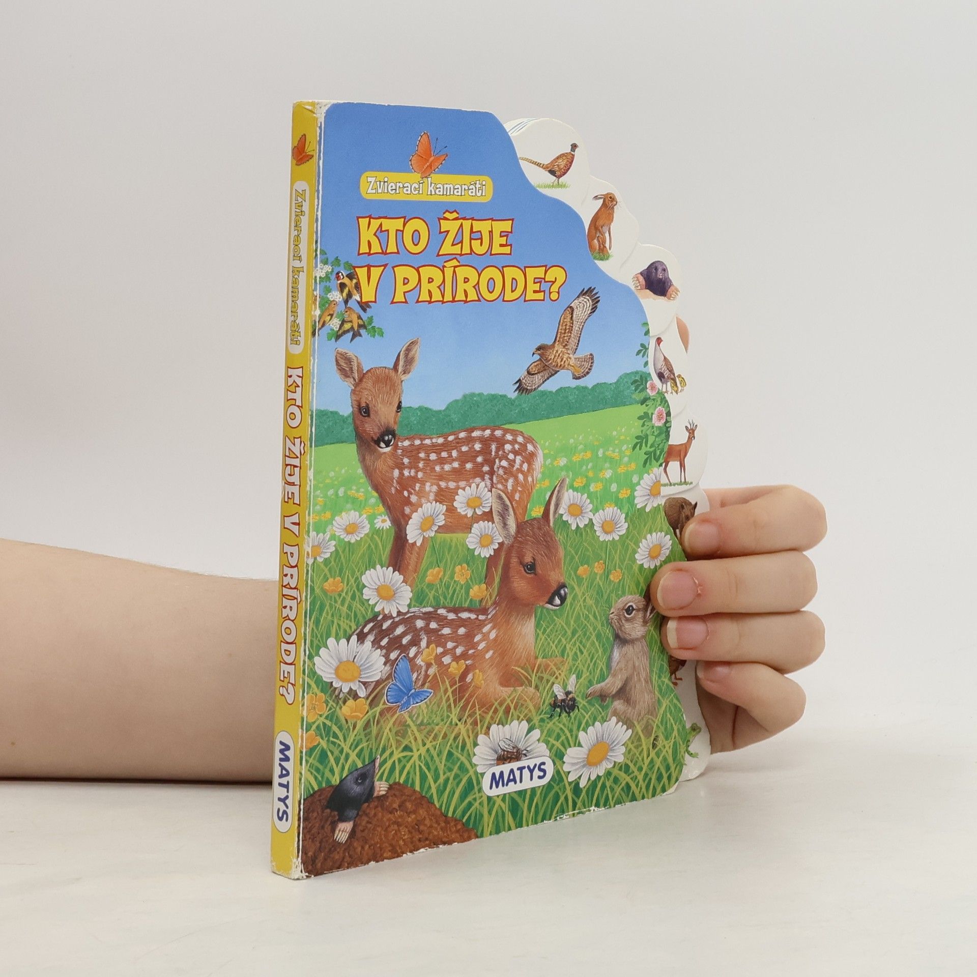 Sibyla Mislovičová Zvierací kamaráti - Kto žije v prírode?