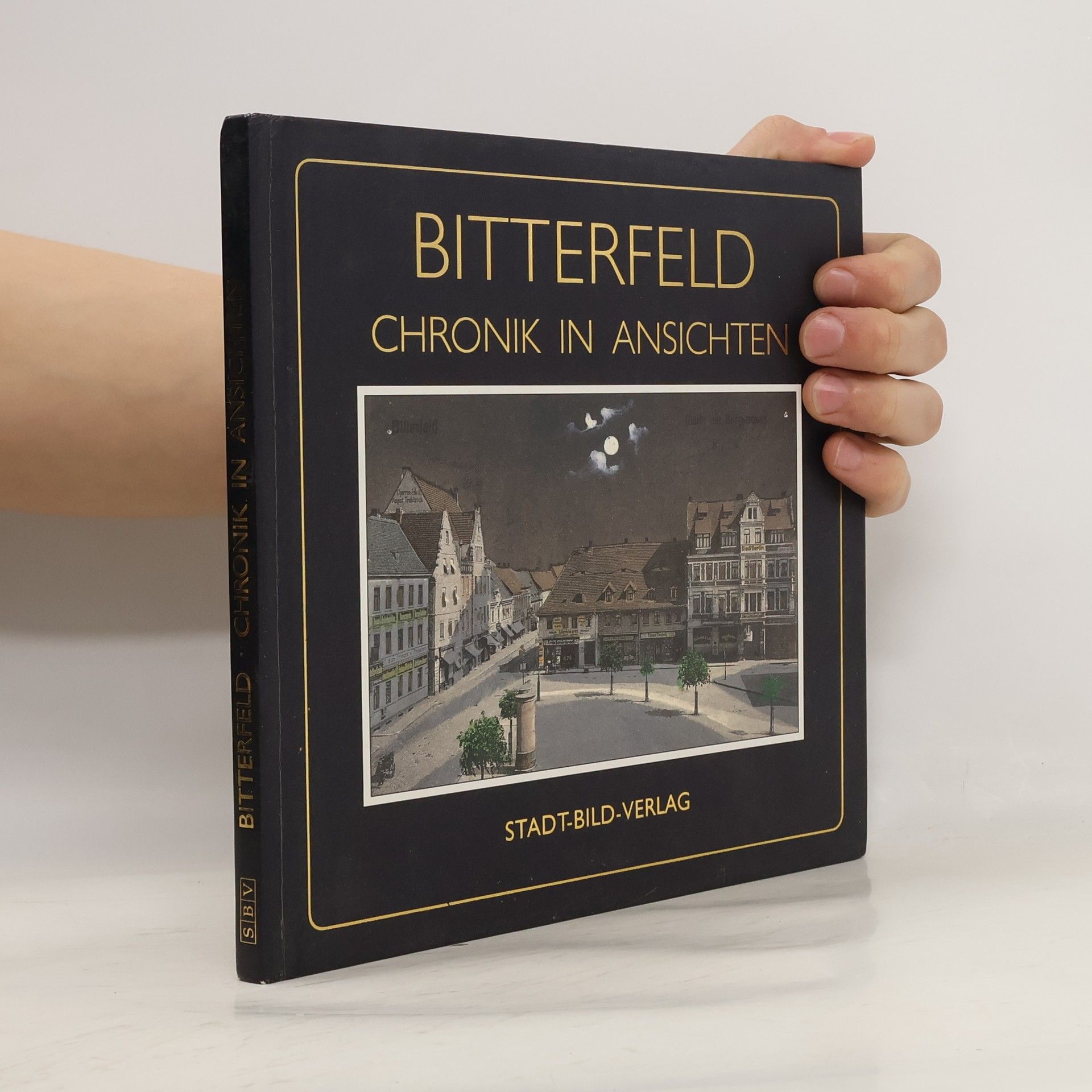 Bitterfeld Chronik in Ansichten