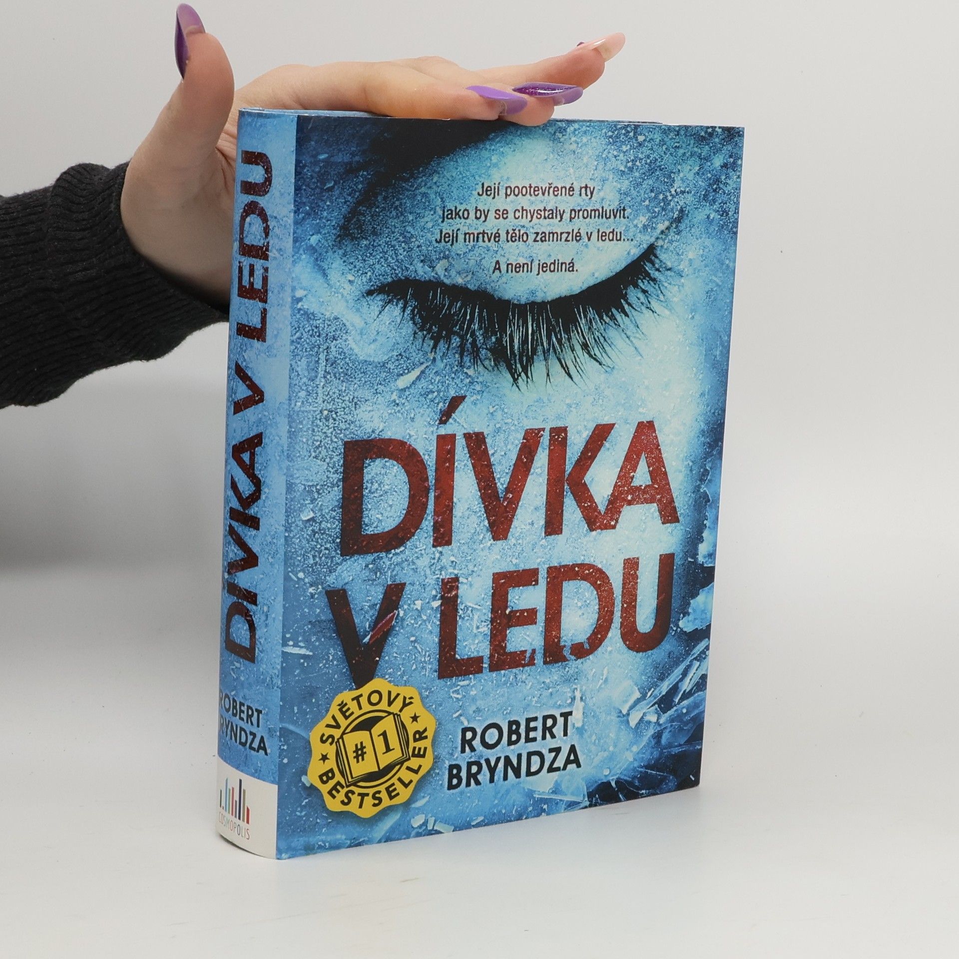 Robert Bryndza Dívka v ledu