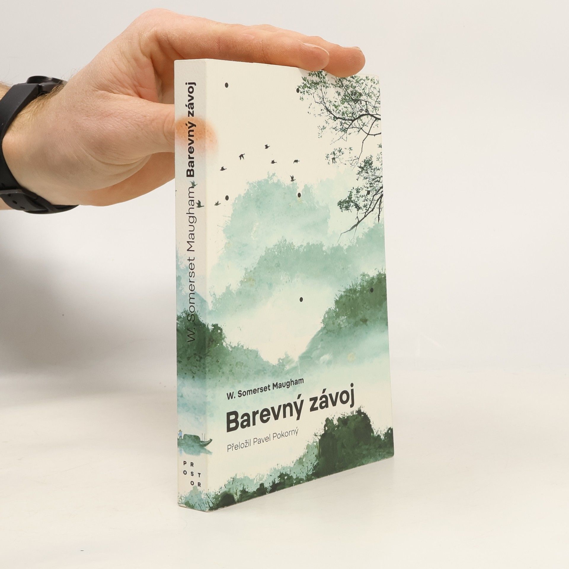 William Somerset Maugham Barevný závoj