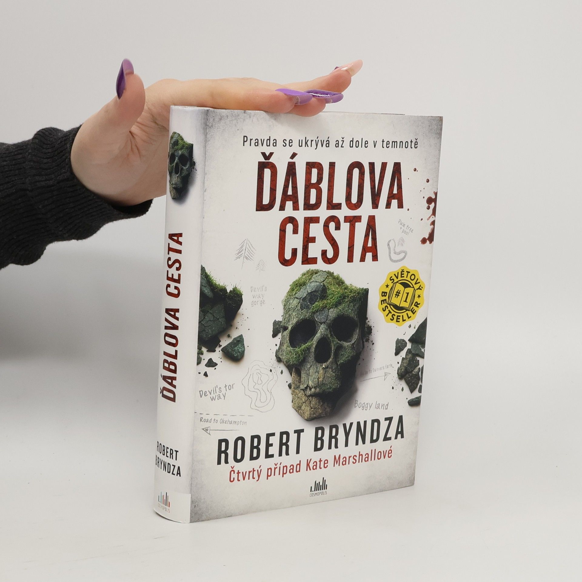 Robert Bryndza Ďáblova cesta