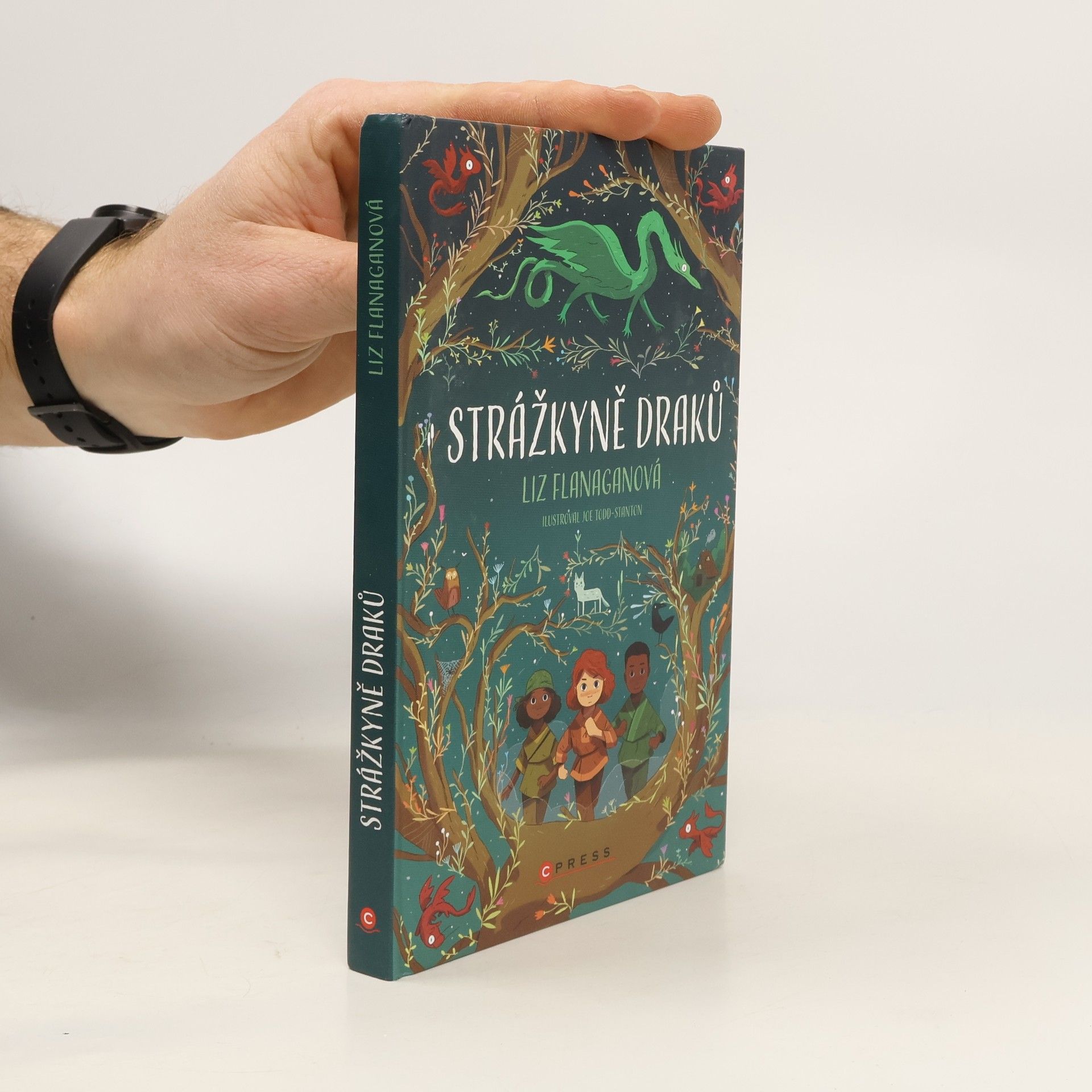 Joe Todd-Stanton Strážkyně draků