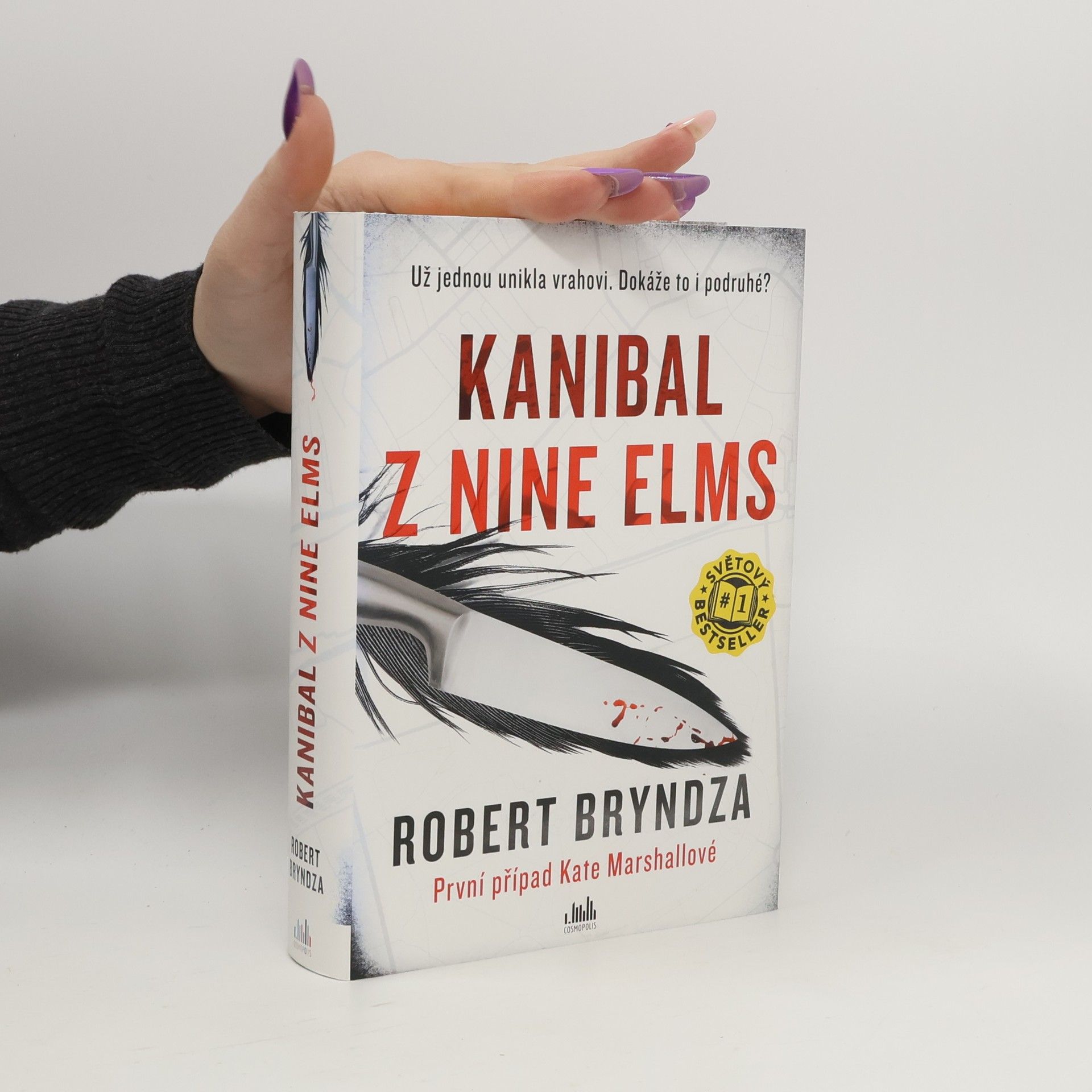 Robert Bryndza Kanibal z Nine Elms