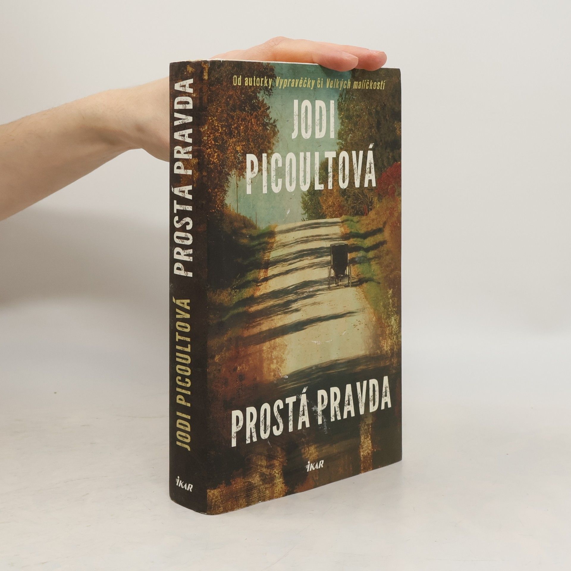 Jodi Picoult Prostá pravda