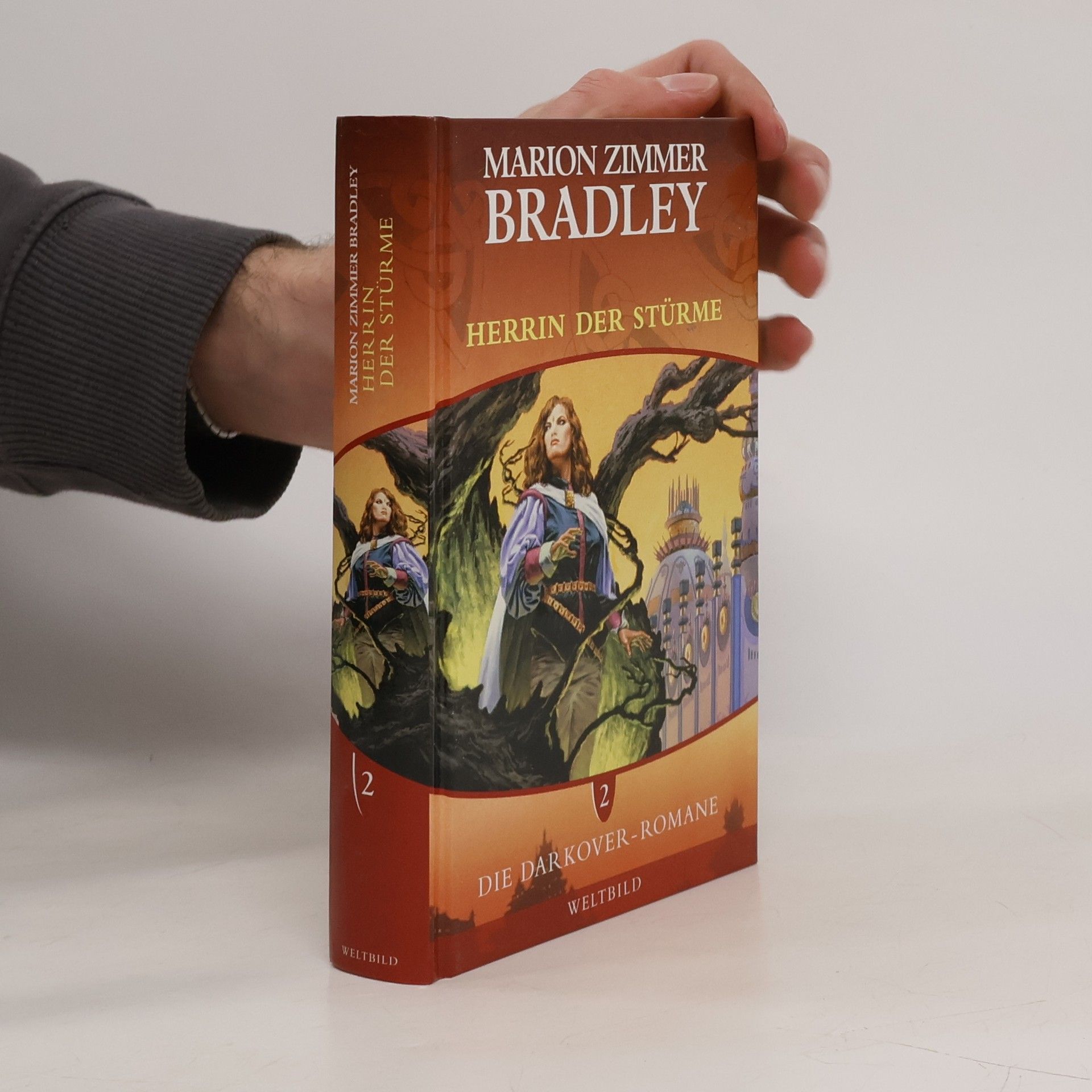 Marion Zimmer Bradley Herrin der Stürme 2