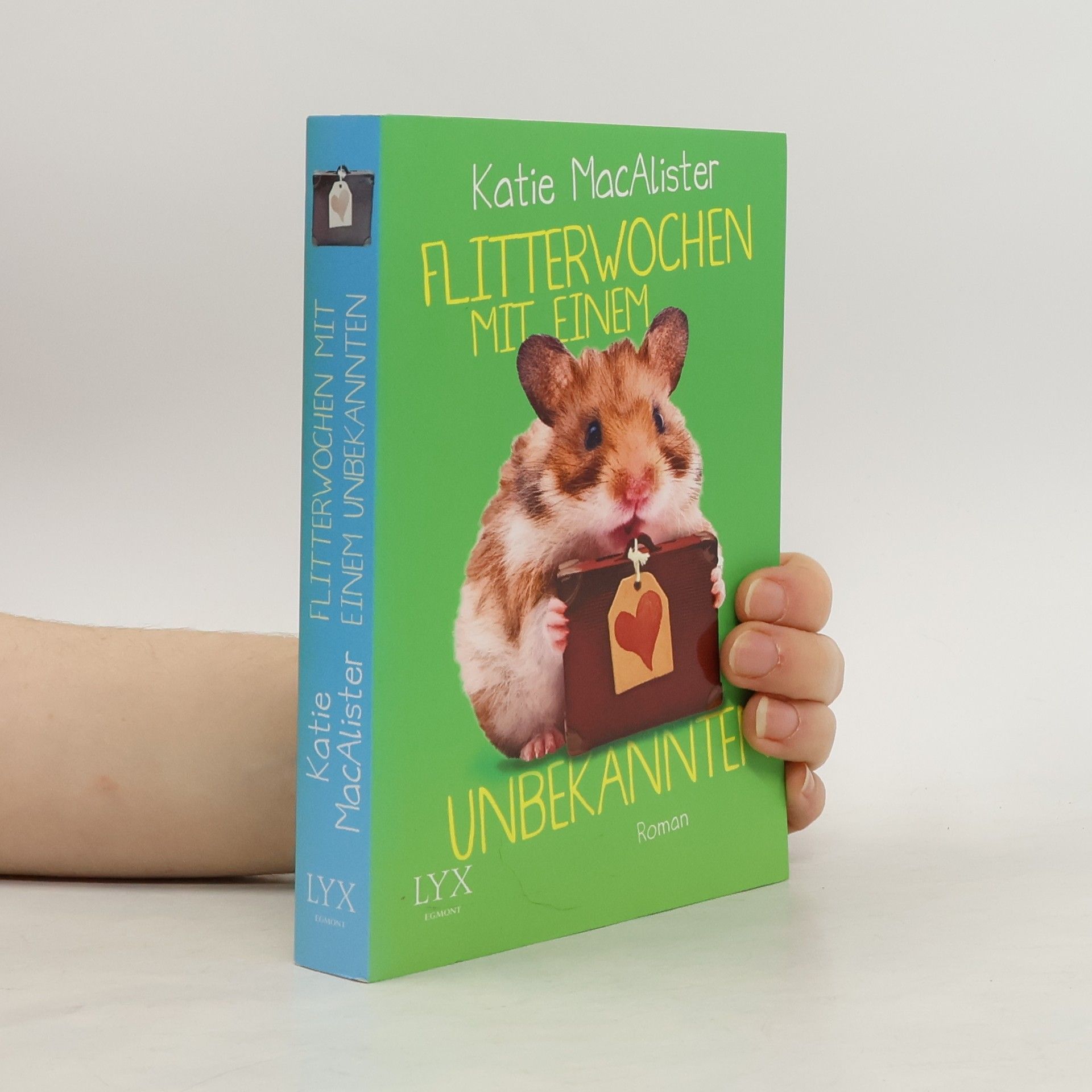 Katie MacAlister Flitterwochen mit einem Unbekannten