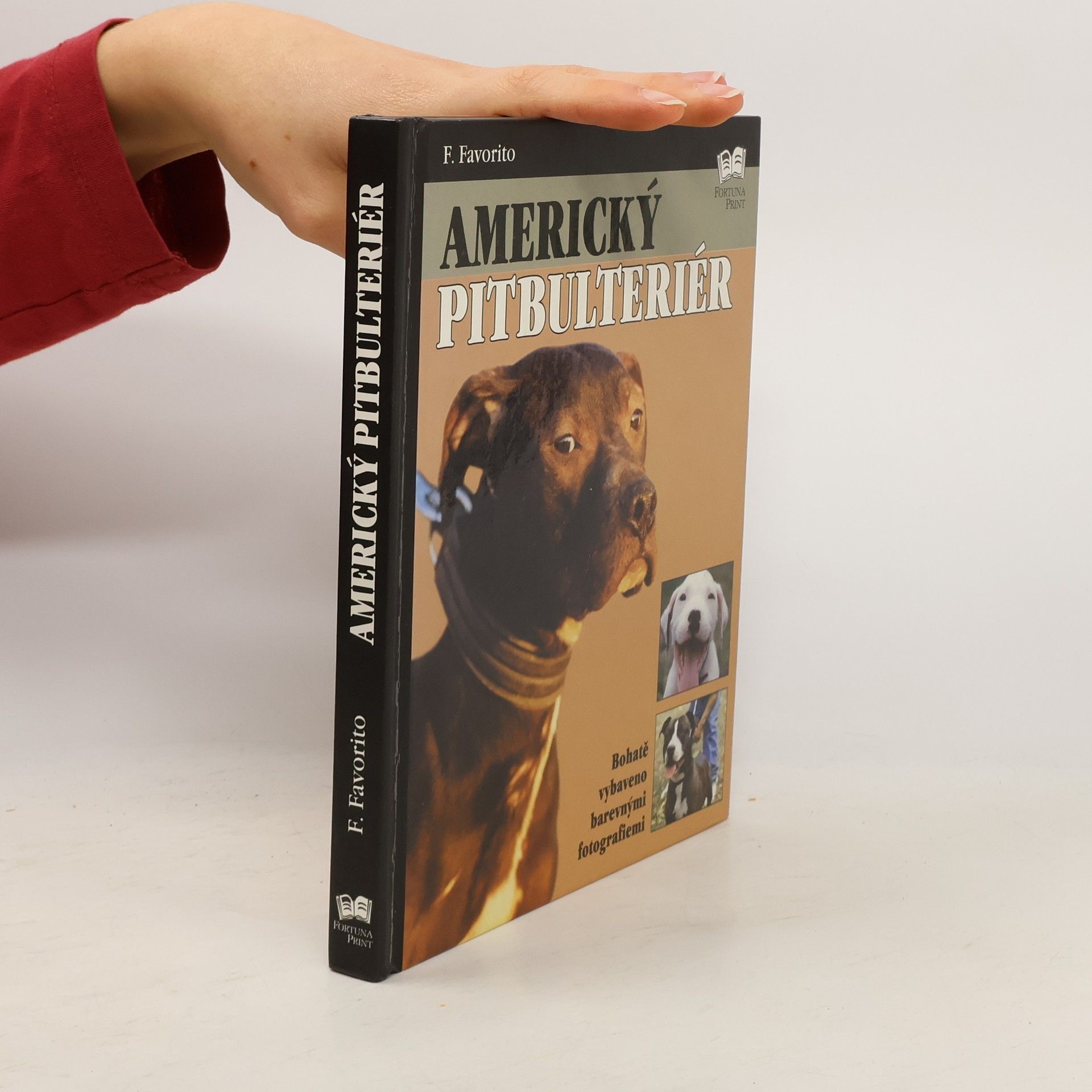 F. Favorito Americký pitbulteriér