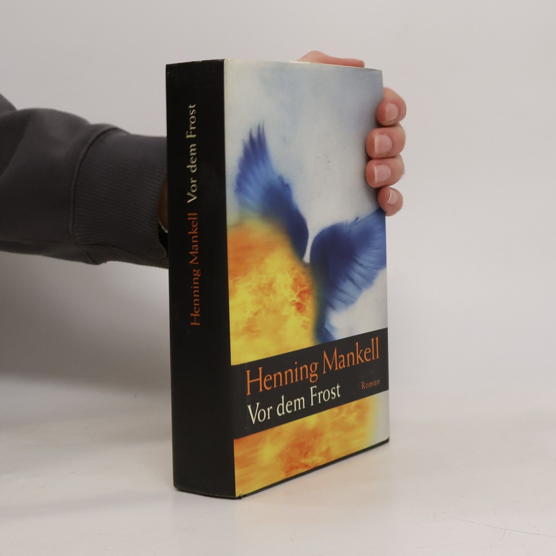 Henning Mankell Vor dem Frost