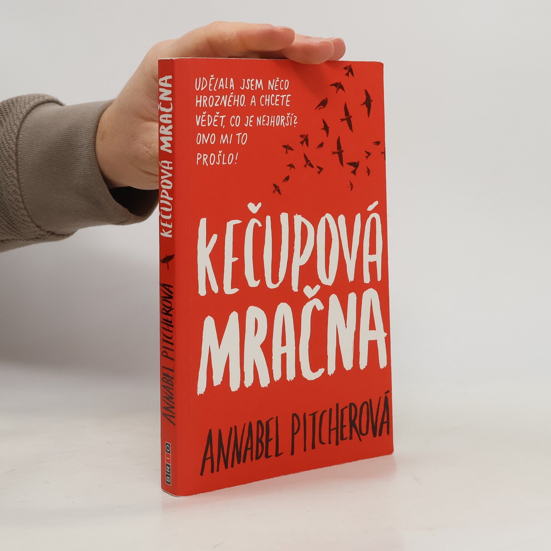Annabel Pitcher Kečupová mračna