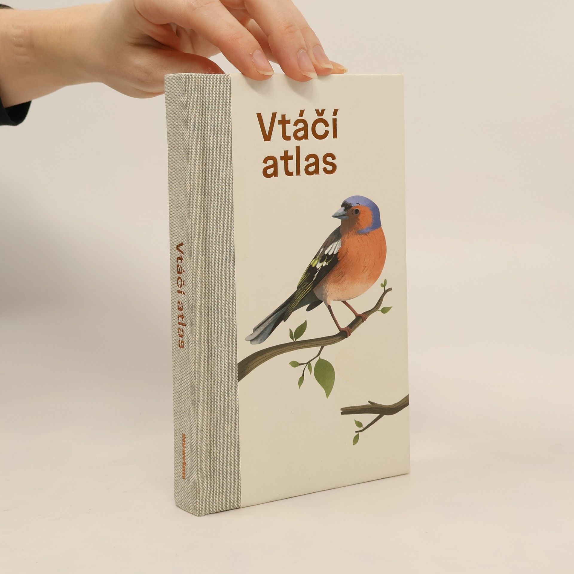 Autorenkollektiv Vtáčí atlas