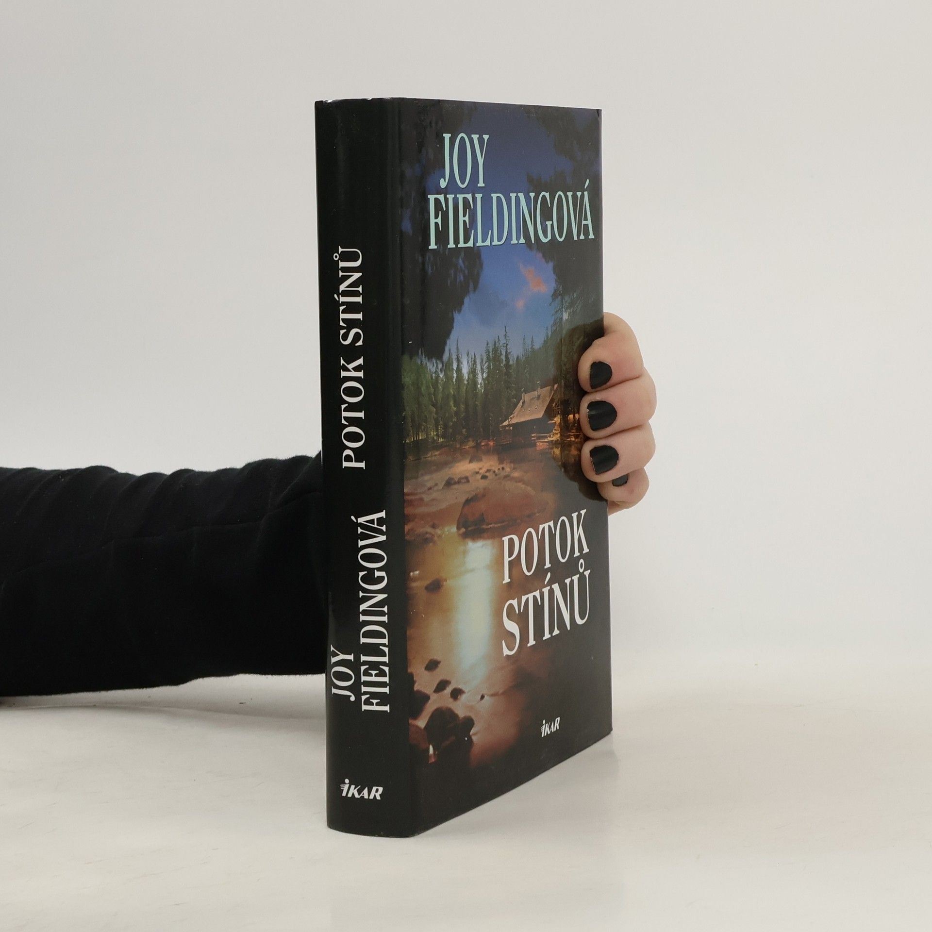 Joy Fielding Potok stínů