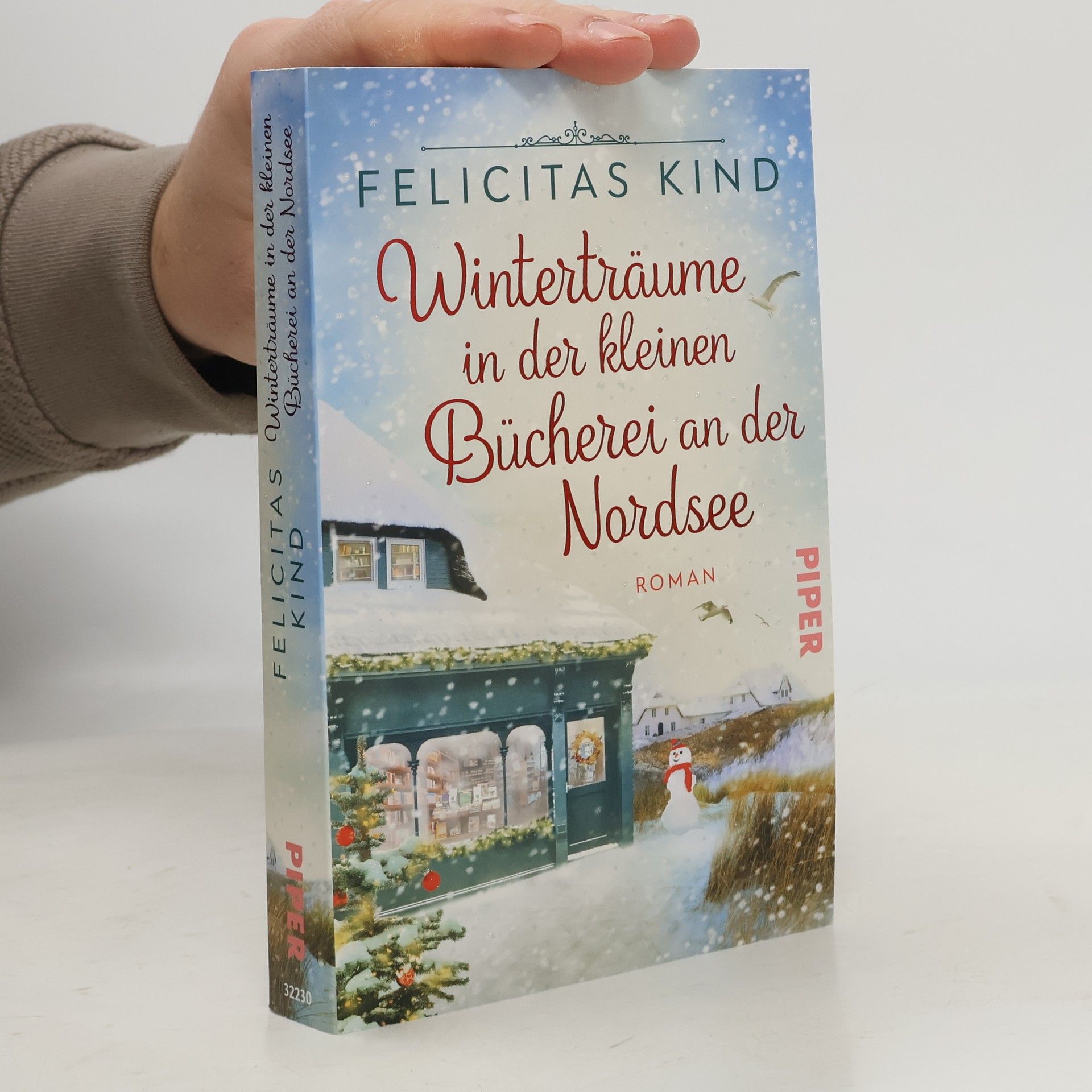 Felicitas Kind Winterträume in der kleinen Bücherei an der Nordsee