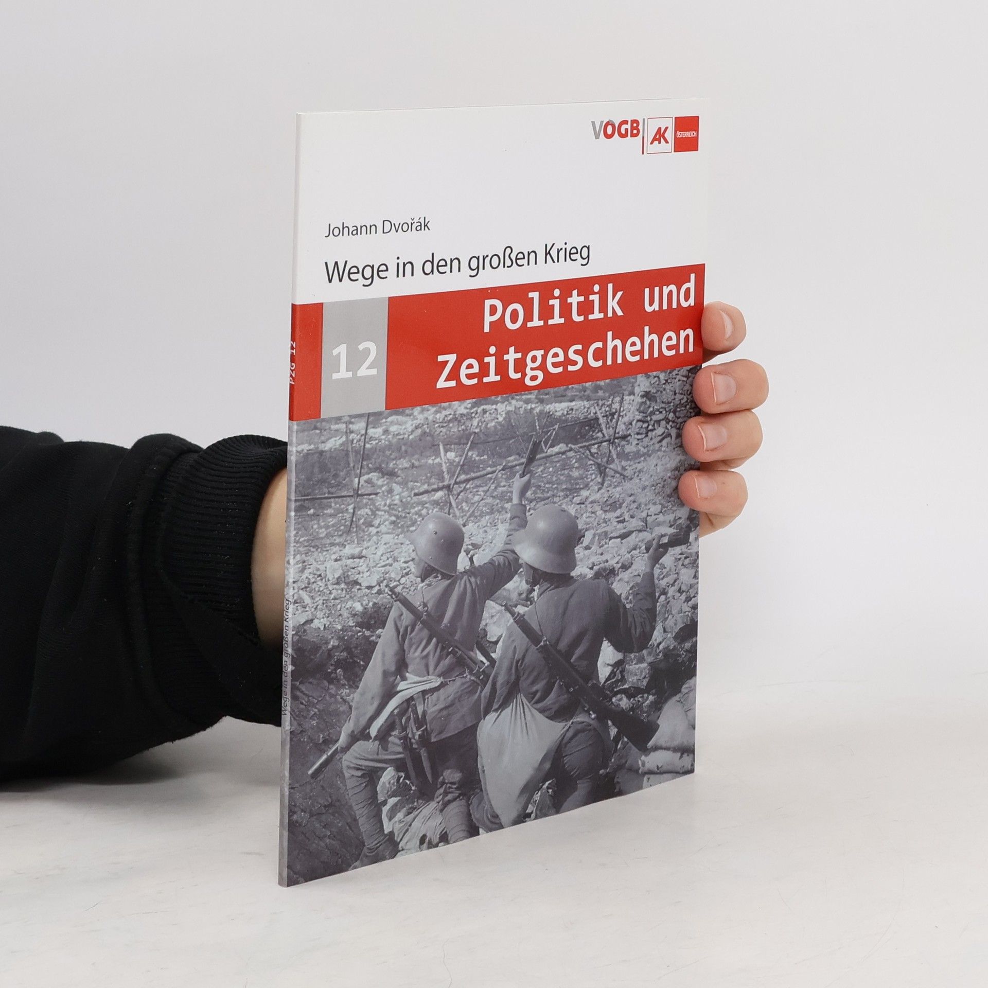 Johann Dvořak Politik und Zeitgeschehen 12