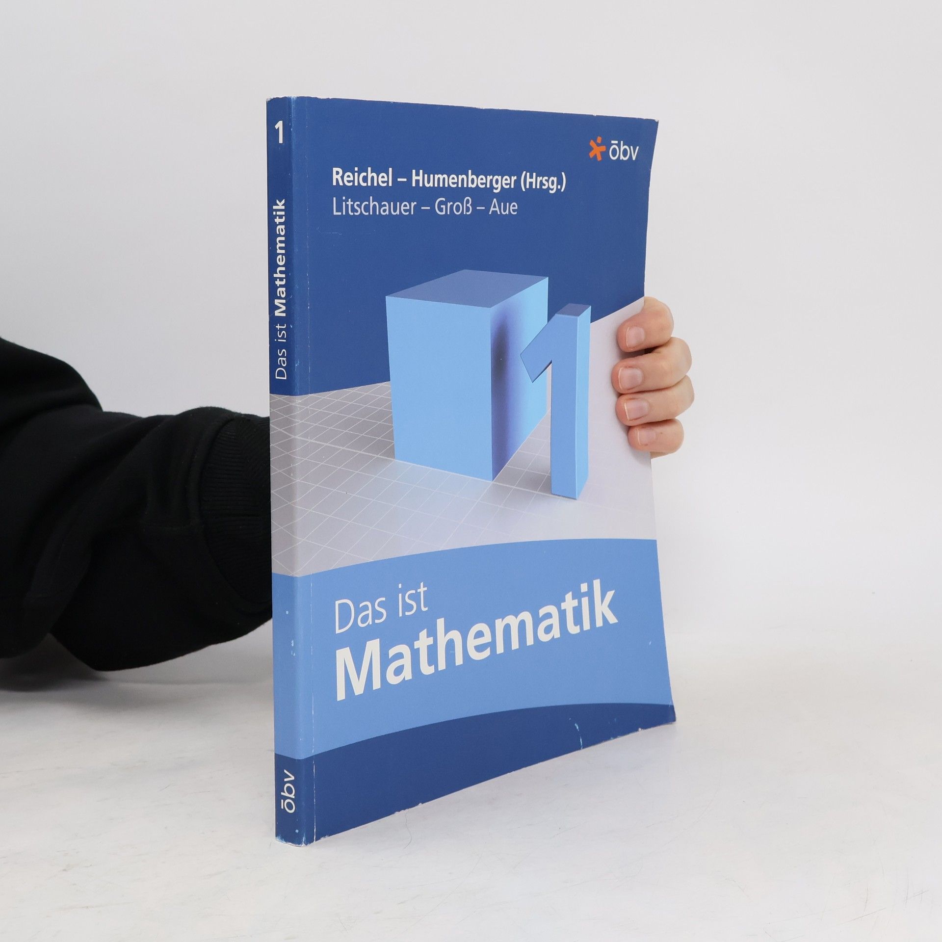 Dieter Litschauer Das ist Mathematik 1