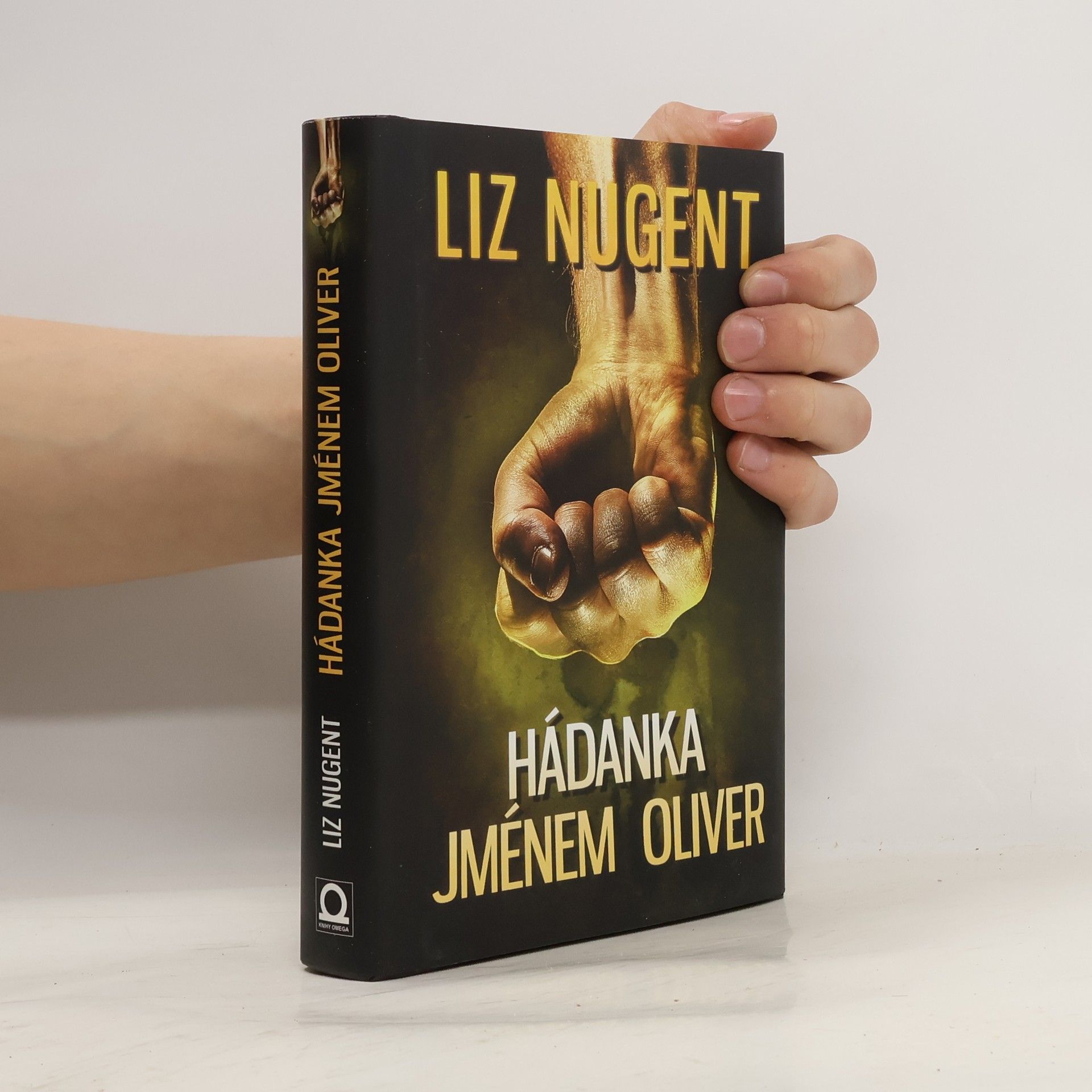 Liz Nugent Hádanka jménem Oliver