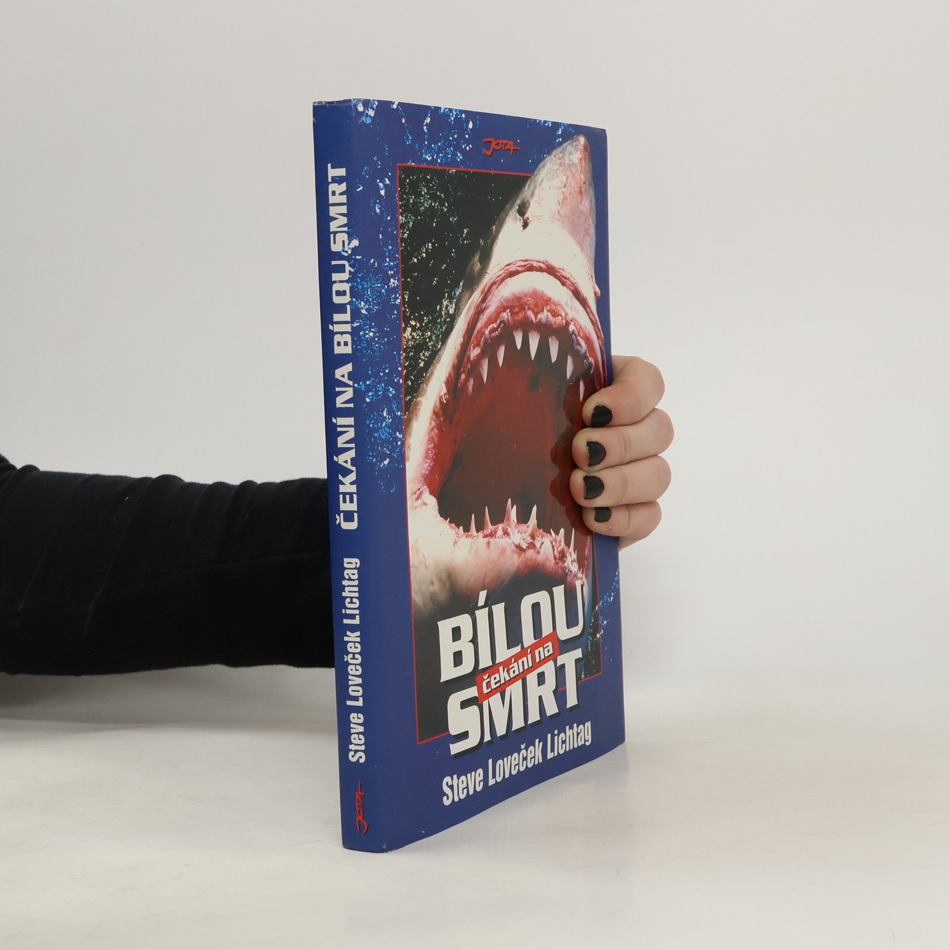 Steve Lichtag Čekání na bílou smrt