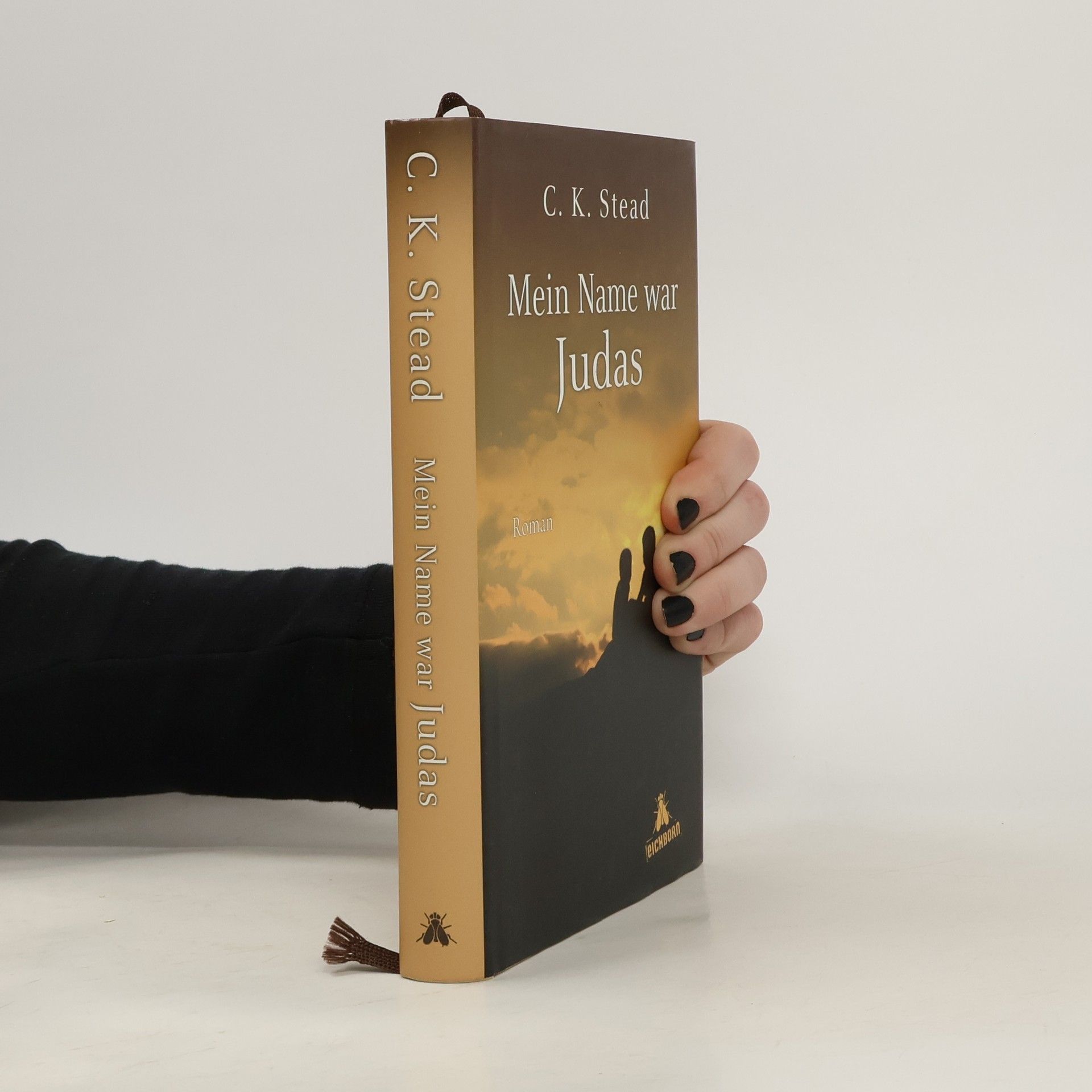 Christian K. Stead Mein Name war Judas